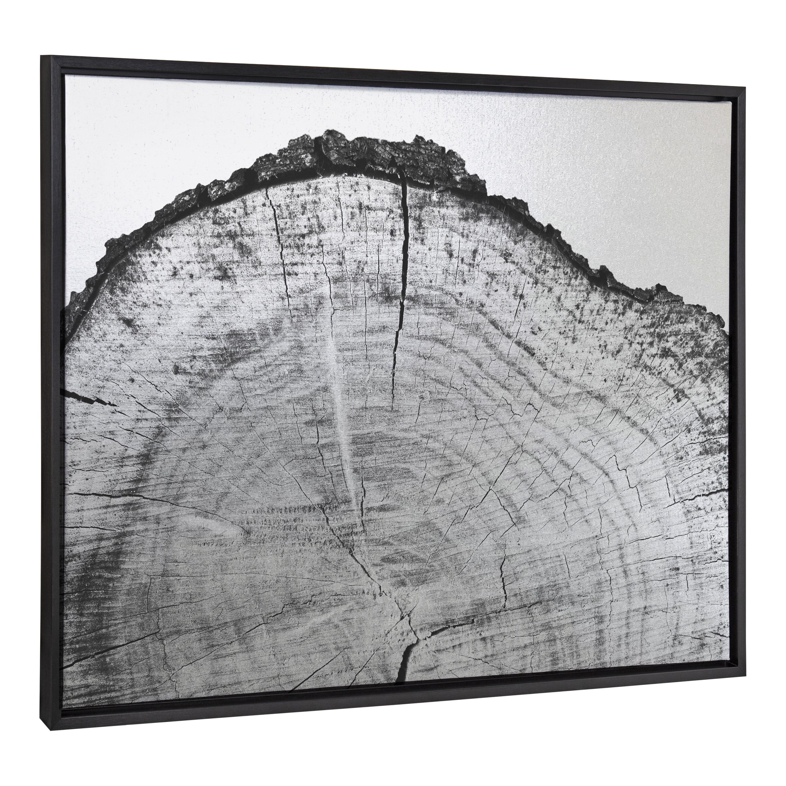 Kate & Laurel All Things Decor 28"x38" Sylvie Tree Rings BW Framed Metallic Canvas Wall Art by Emiko and Mark Franzen of F2Images