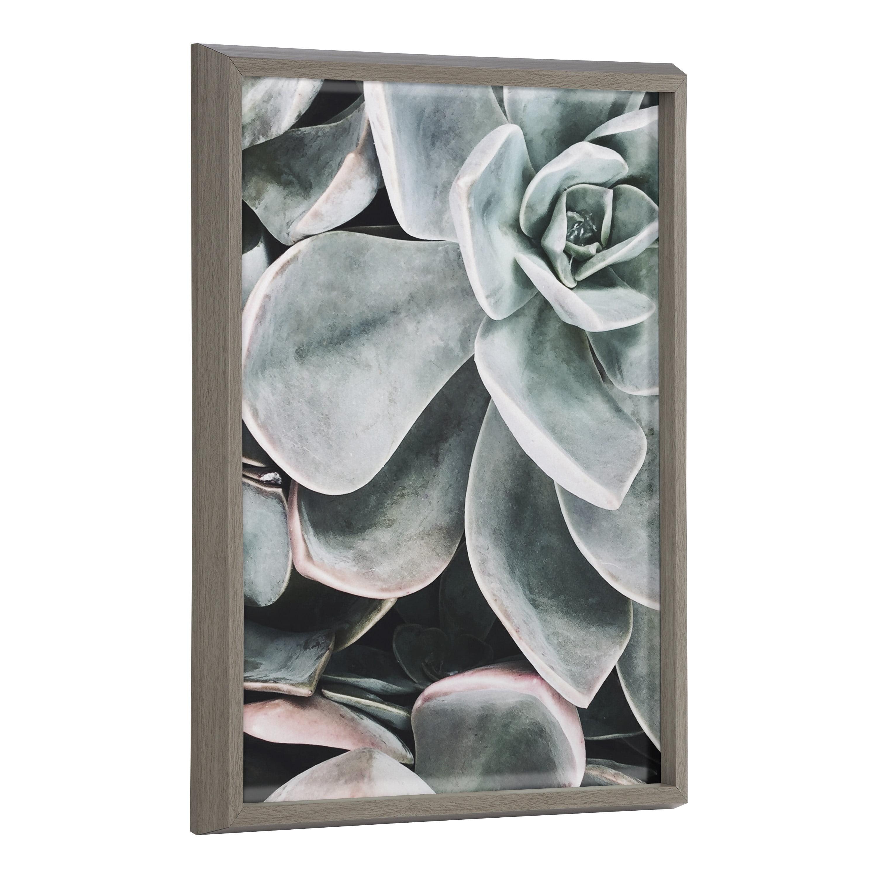 Gray Framed Botanical Succulent Plant Wall Art Set