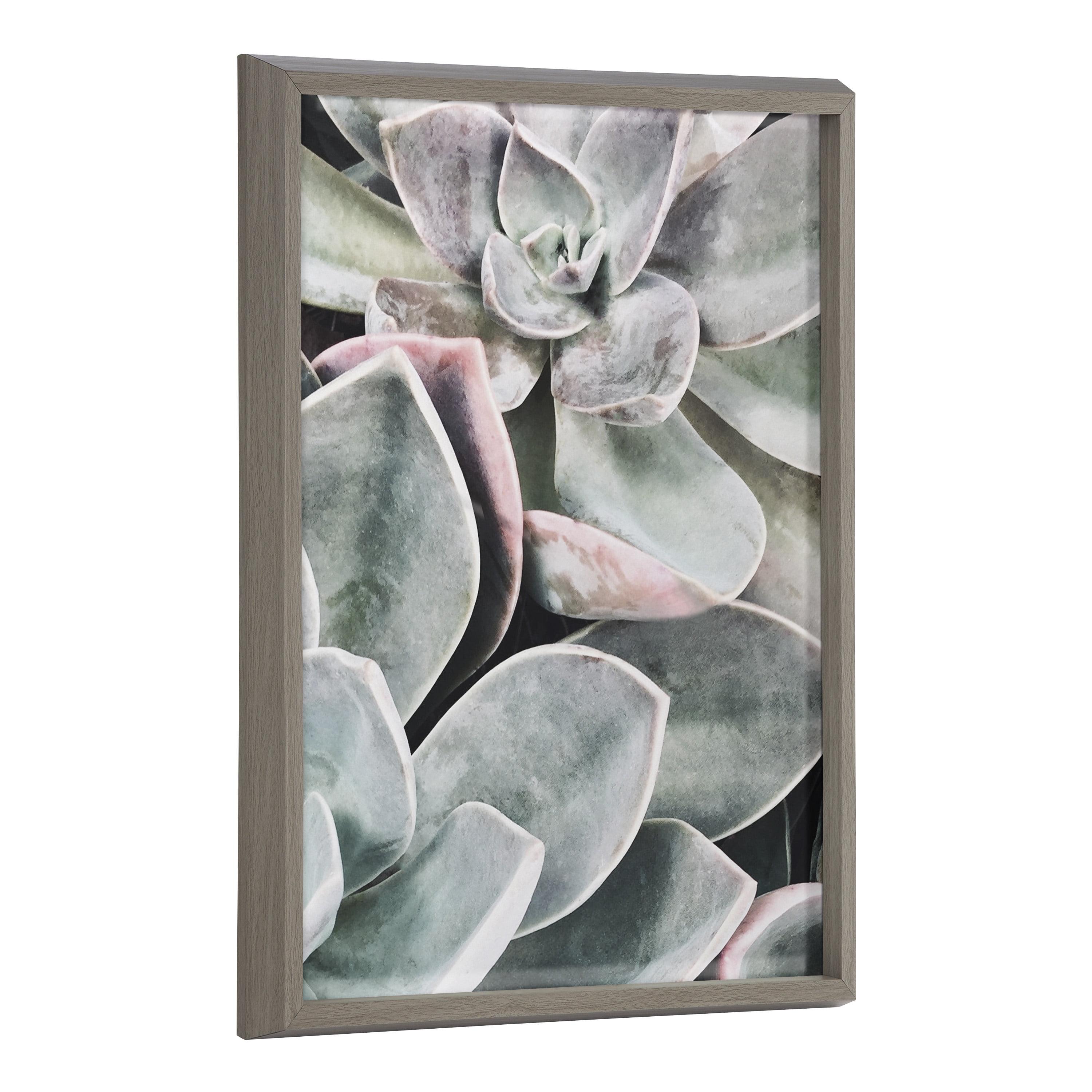 Blake Botanical Succulent Plants Framed Glass Wall Art, 18" x 24"