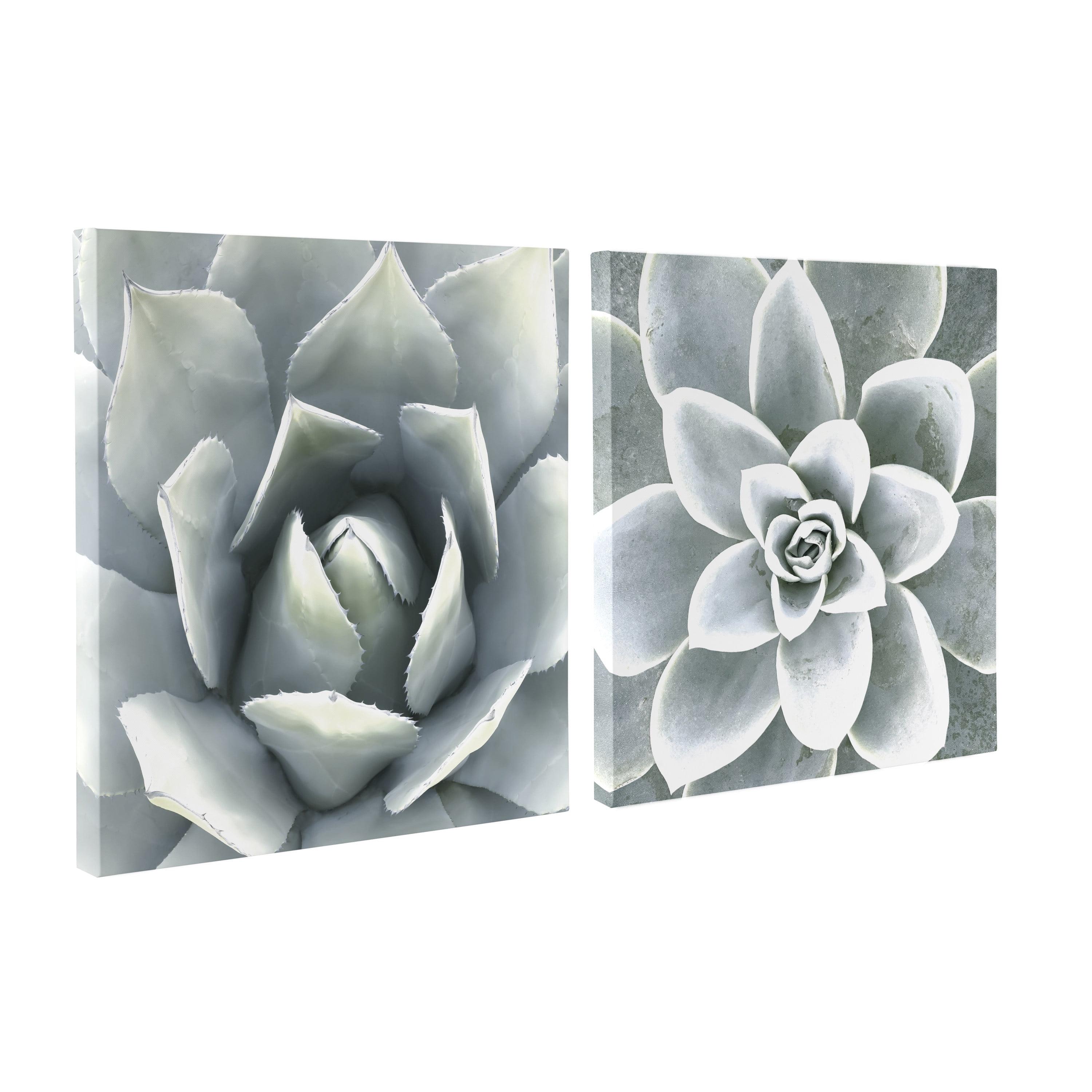 Union Rustic " Soft Botanical Succulents " by The Creative Bunch Studio 2 - Pieces