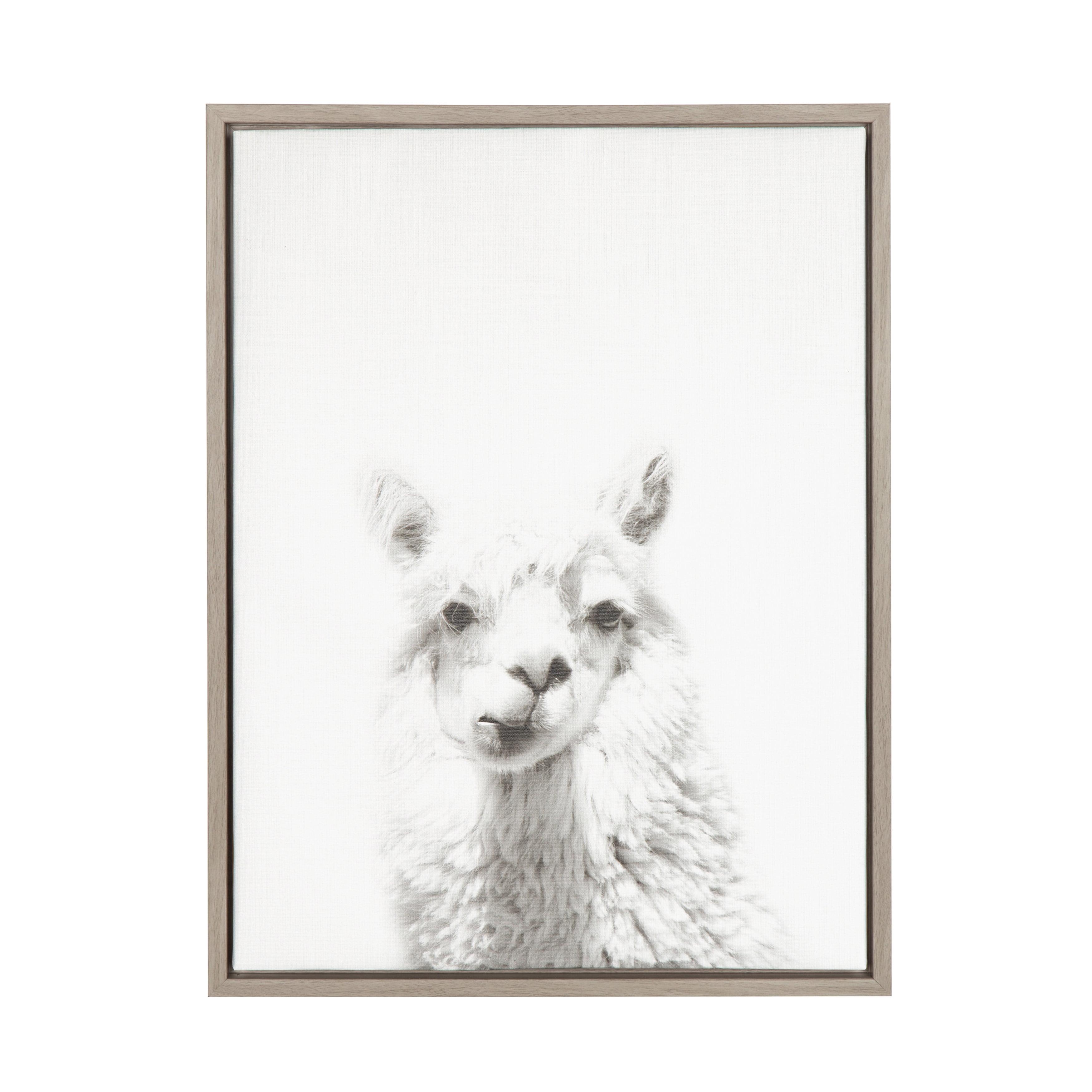 24" x 18" Alpaca Framed Canvas Art - Uniek