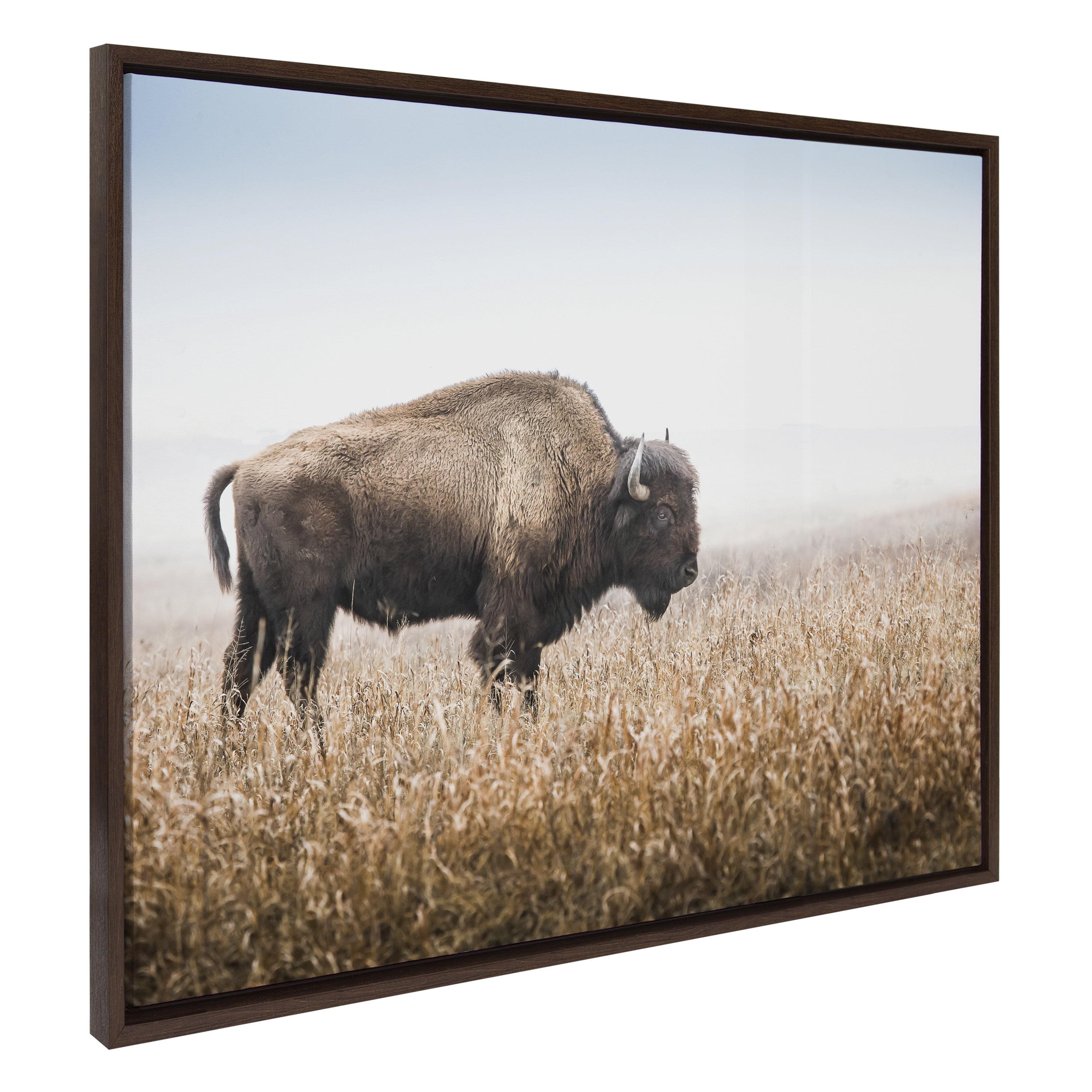 Kate & Laurel All Things Decor Sylvie American Bison Buffalo in Prairie Grass Framed Canvas Wall Art Brown