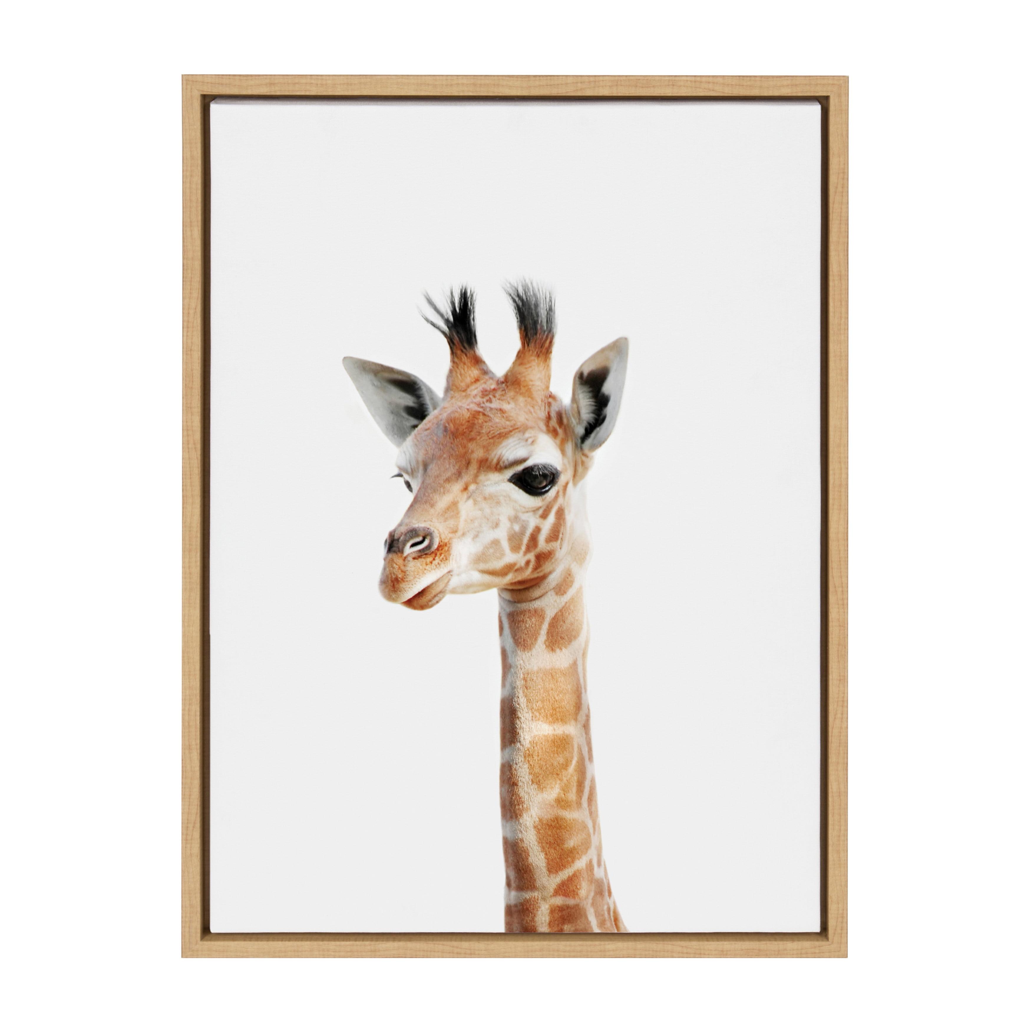 18" x 24" Sylvie Baby Giraffe Framed Canvas by Amy Peterson - Kate and Laurel