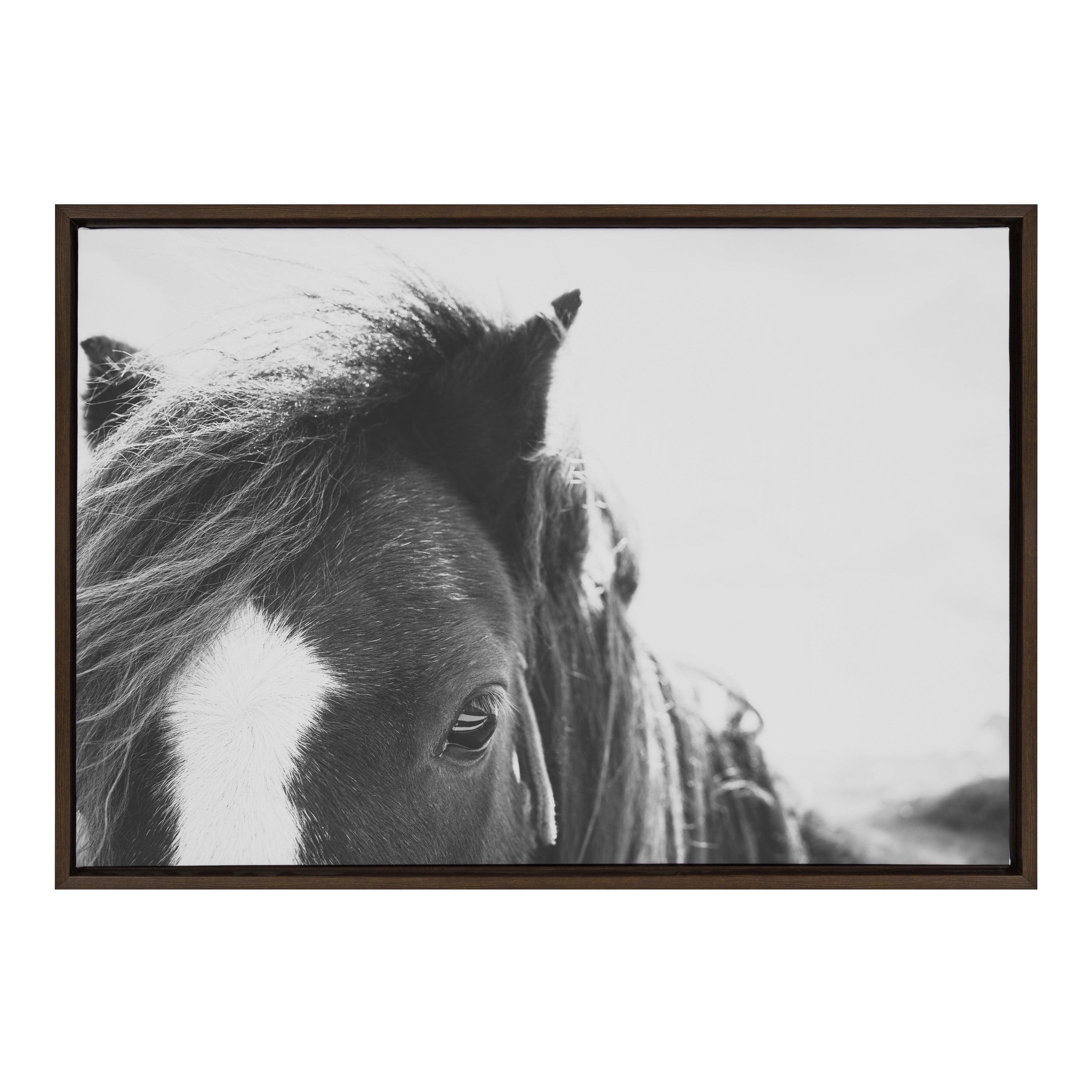 23" x 33" Sylvie Noble BW Framed Canvas by Alicia Abla Brown: Kate & Laurel, Wall Decor, Animal Art