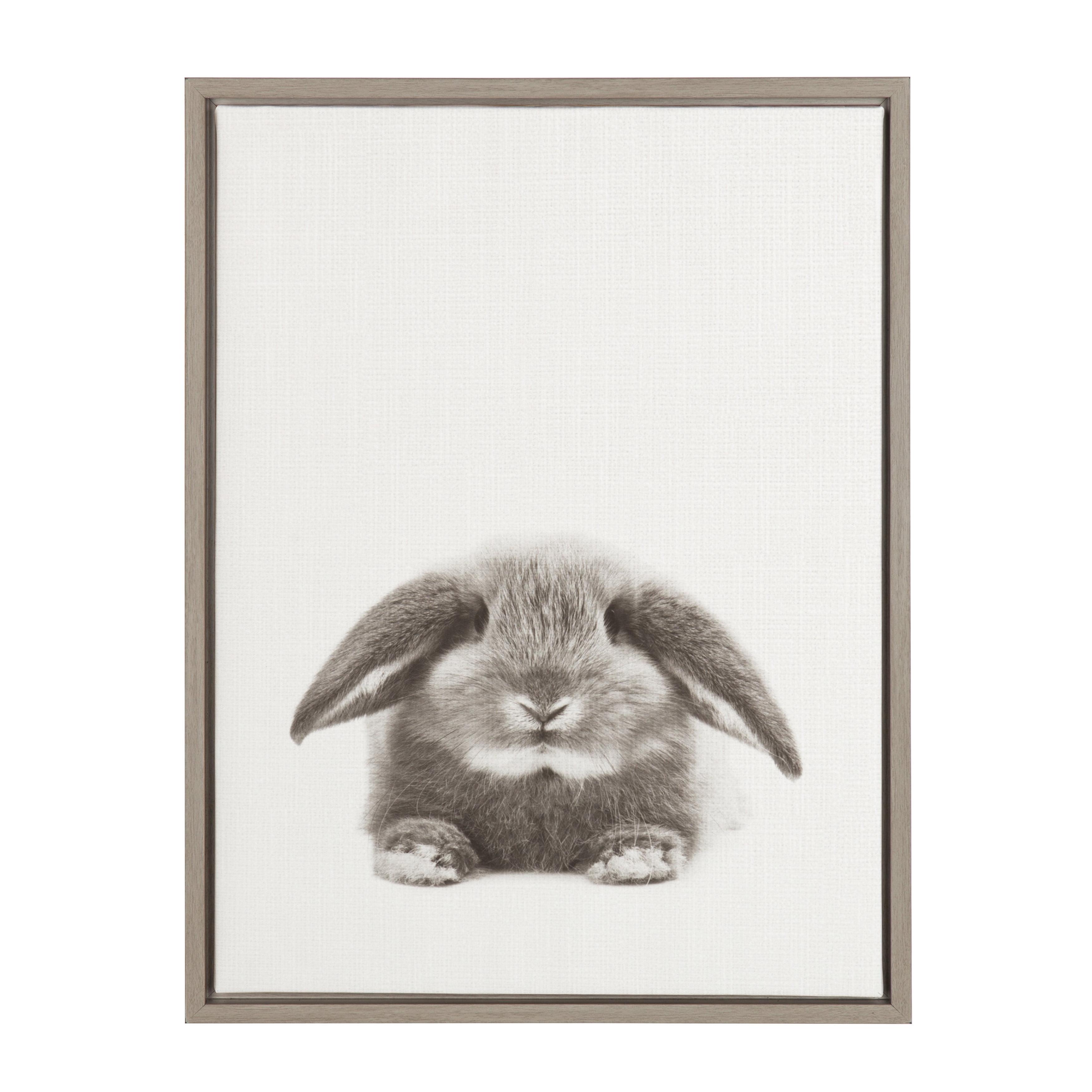 24" x 18" Rabbit Framed Canvas Art - Uniek