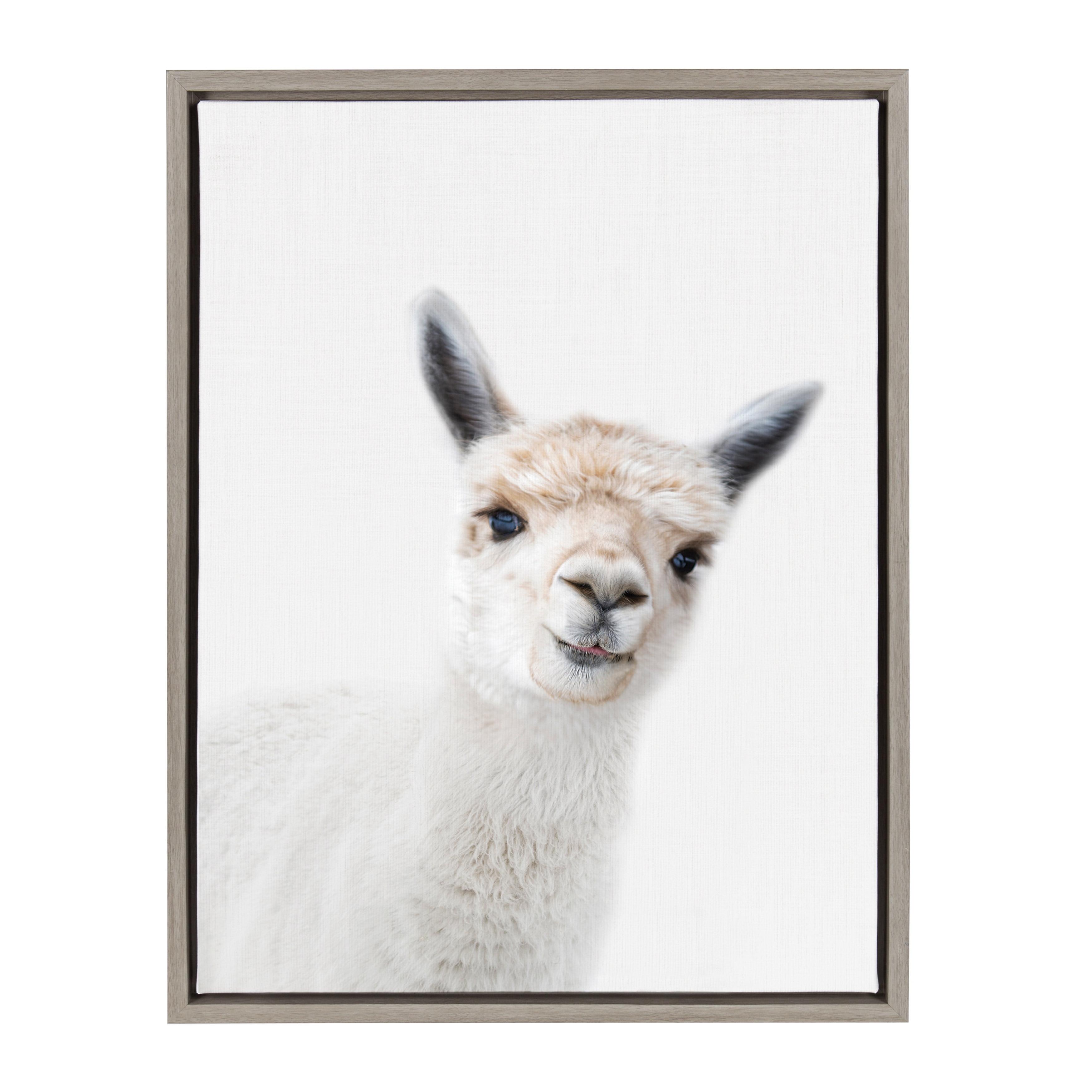 18" x 24" Sylvie Animal Studio Alpaca Framed Canvas by Amy Peterson - Kate & Laurel All Things Decor