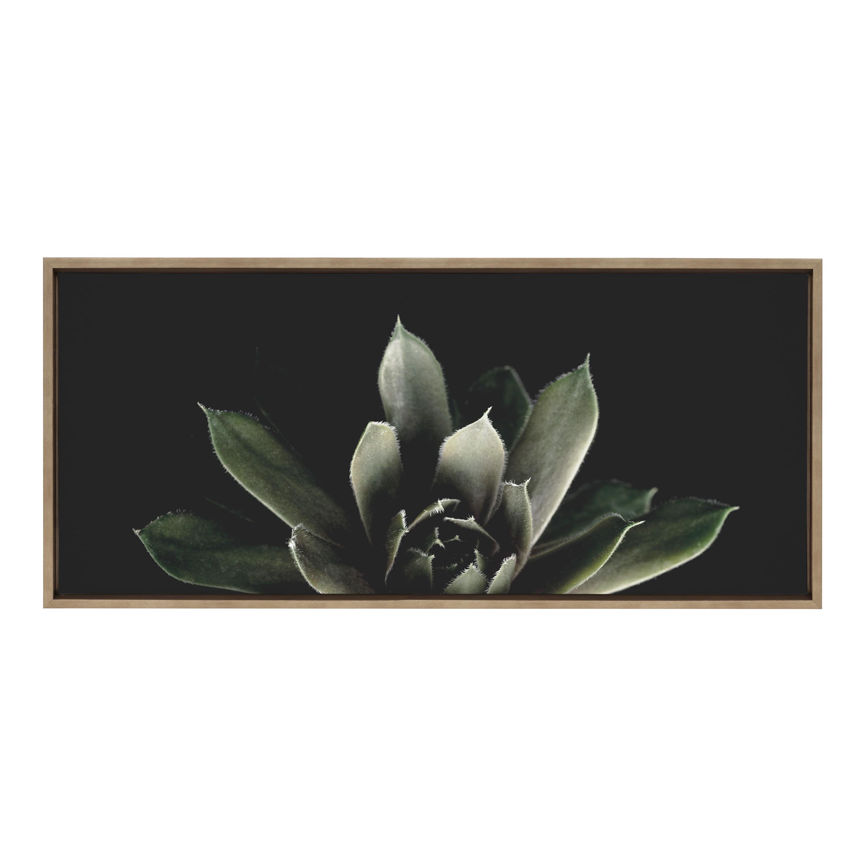 18" x 40" Sylvie Succulent 8 by Emiko and Mark Franzen of F2 Images Framed Wall Canvas Gold - Kate & Laurel All Things Decor