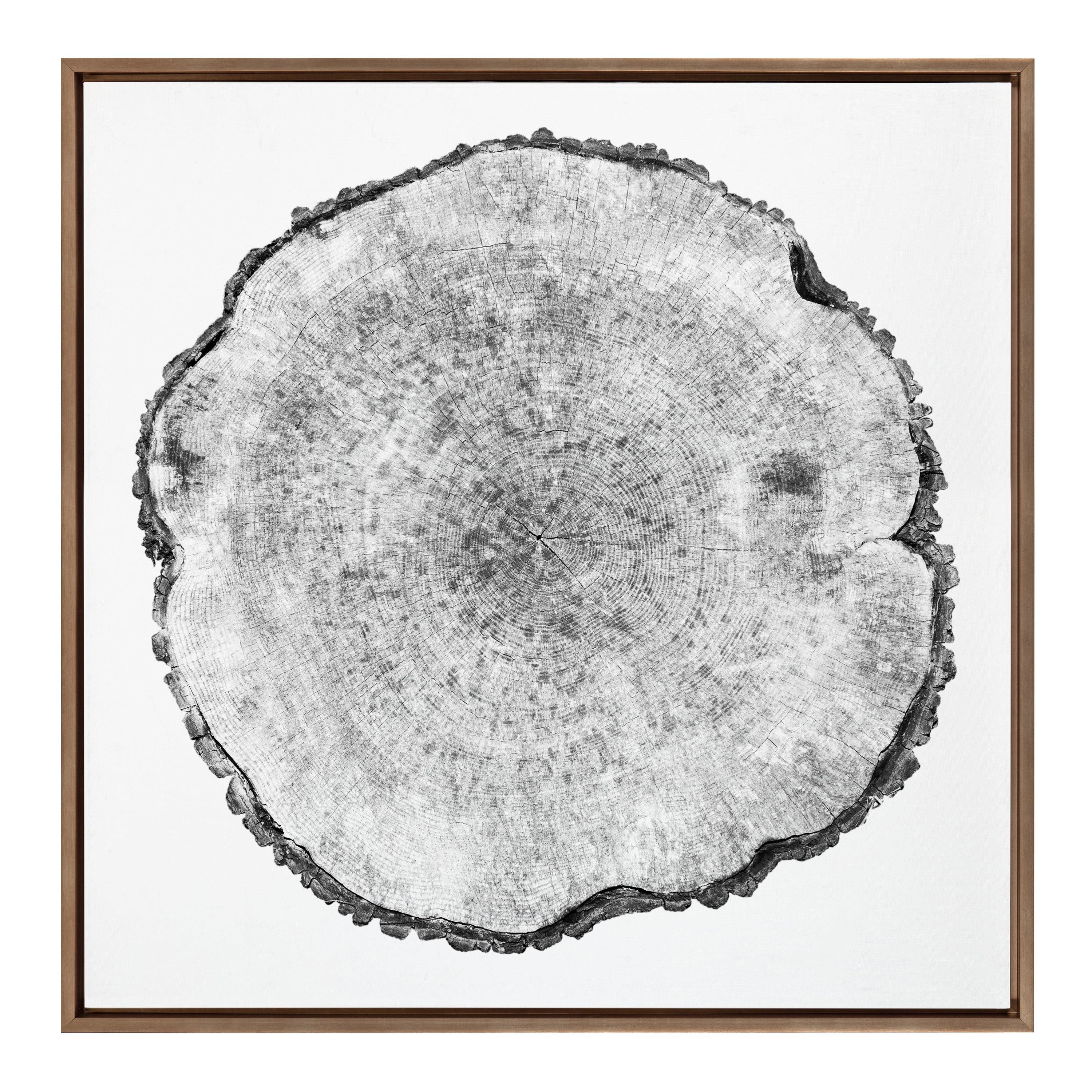 30" x 30" Sylvie Tree Rings Framed Wall Canvas by Emiko and Mark Franzen: Modern Botanical Art - Kate & Laurel All Things Decor