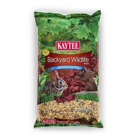 KAYTEE