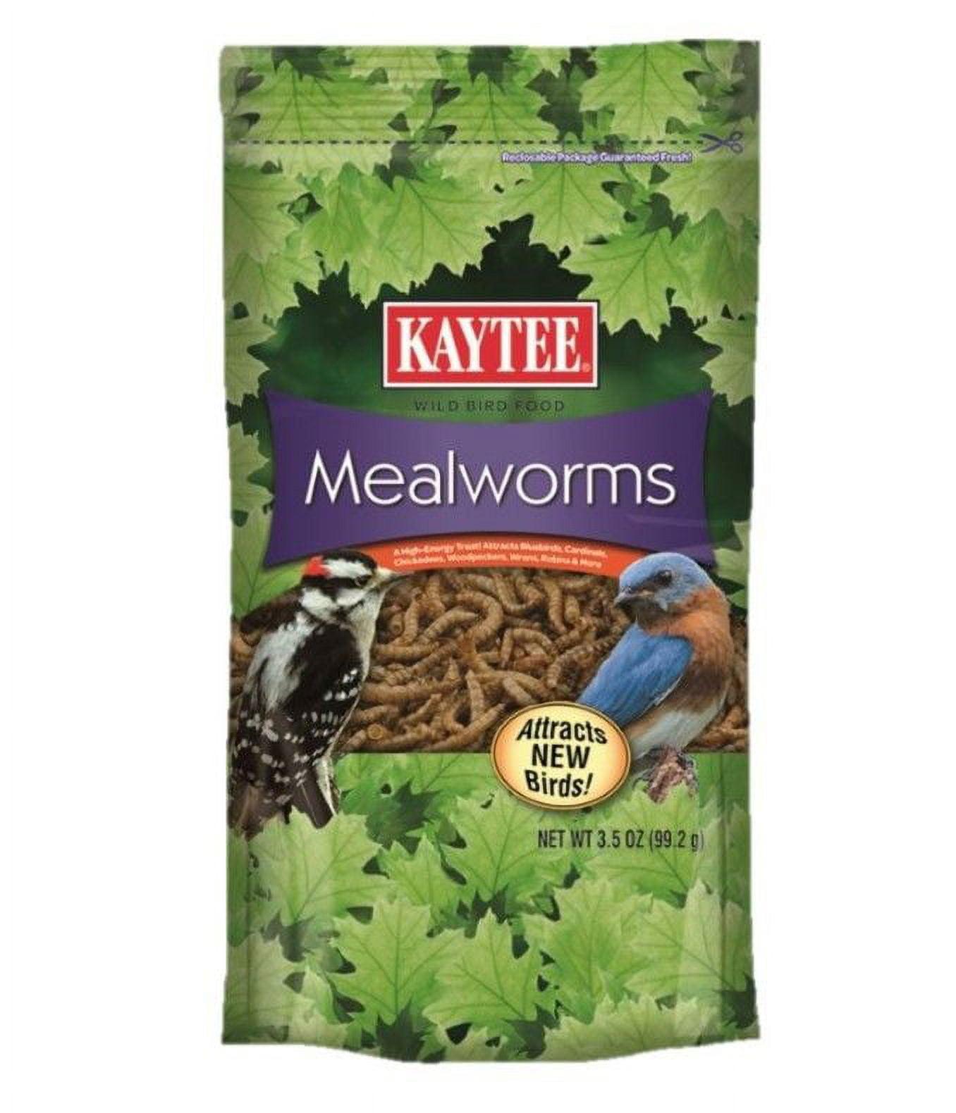 Kaytee Bluebird Dried Mealworm Mealworms 3.5 oz