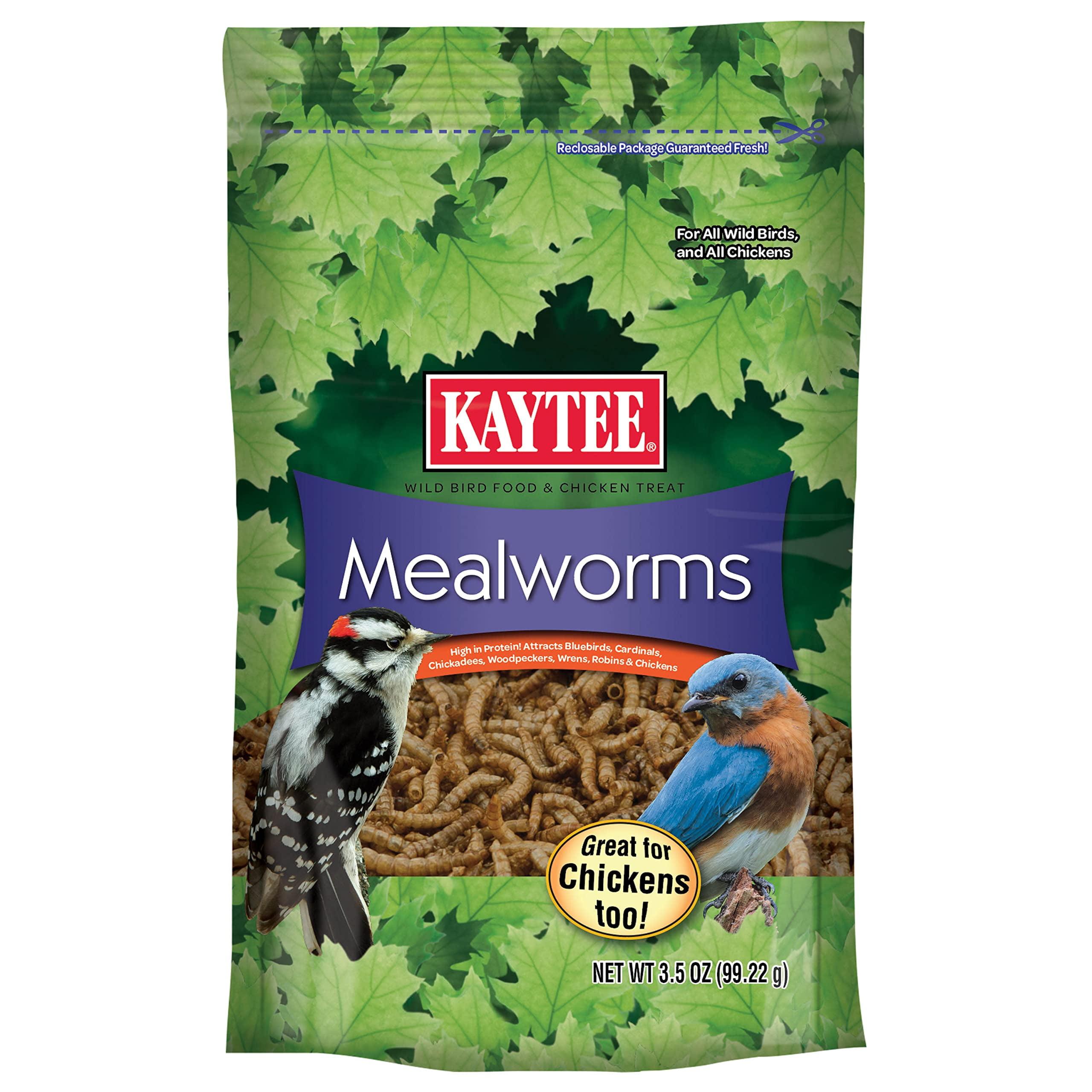 Kaytee Bluebird Dried Mealworm Mealworms 3.5 oz
