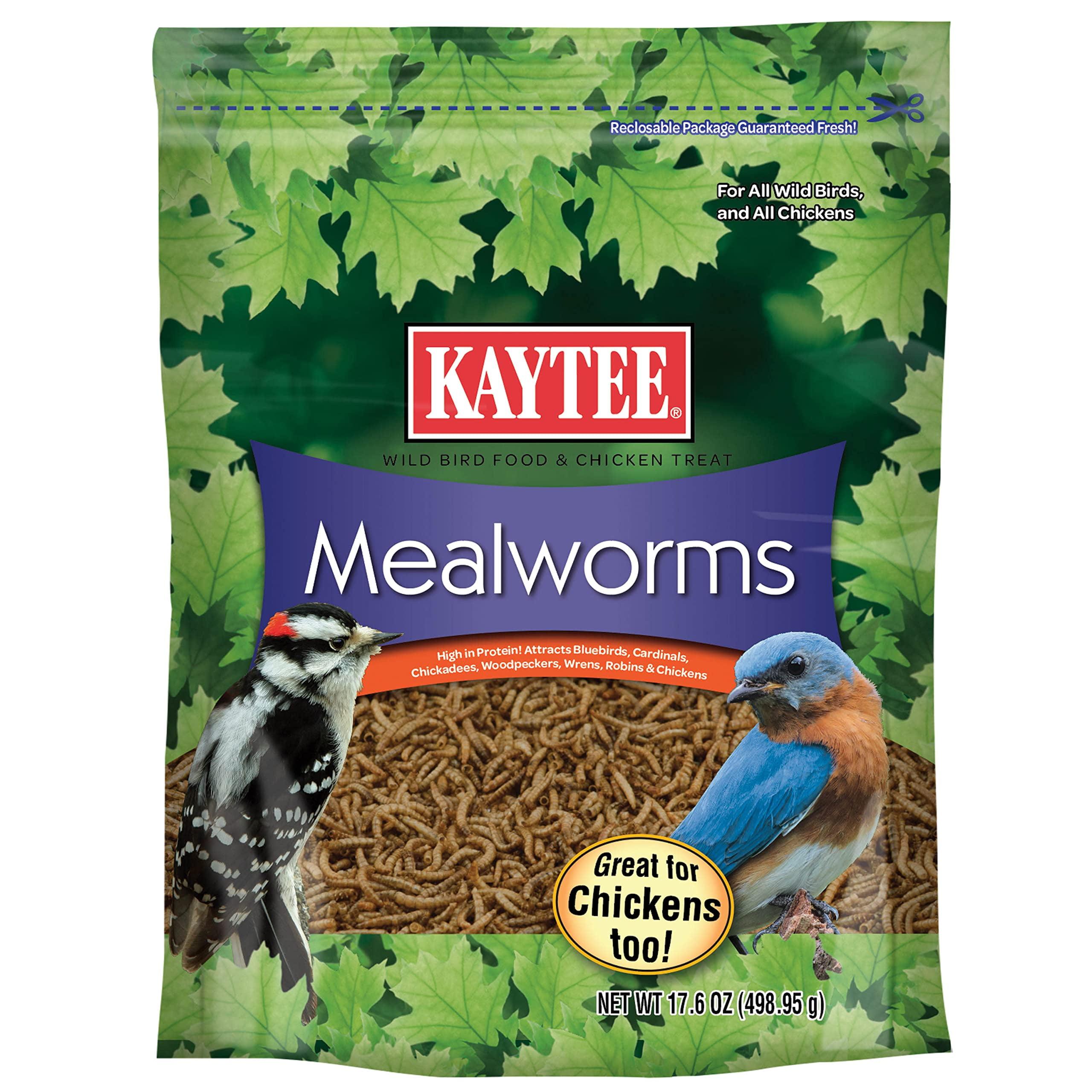 Kaytee Mealworms Bird Food - 17.6 Oz