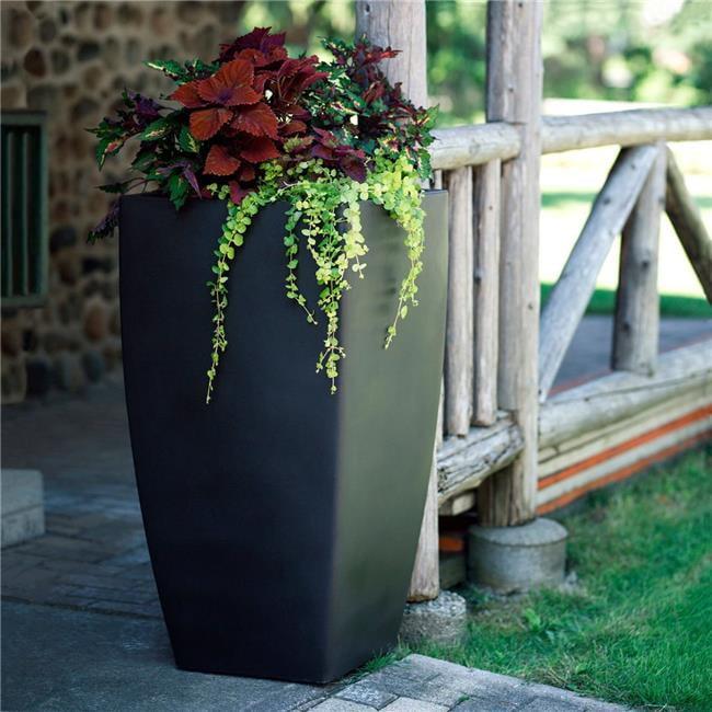 Mayne Inc. Vernamae  Resin Pot Planter With Water Reservoir