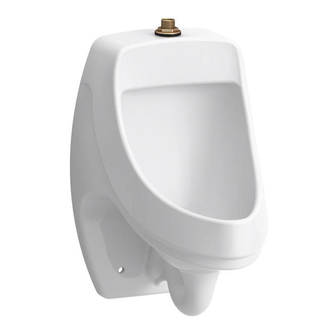 Dexter White Vitreous China Wall-Mount Urinal with Top Spud