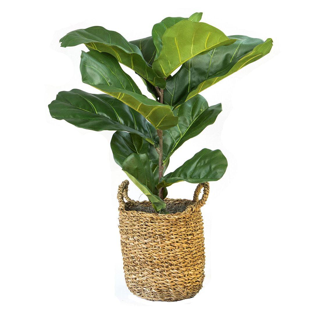 36" Green Faux Fiddle Leaf Fig Plant in Woven Basket