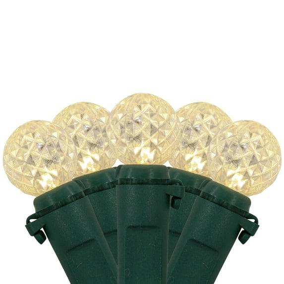 Northlight LED G12 Berry Christmas Lights - Warm White - 16' Green Wire - 50 ct