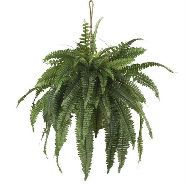 Large Green Plastic Boston Fern Hanging Basket