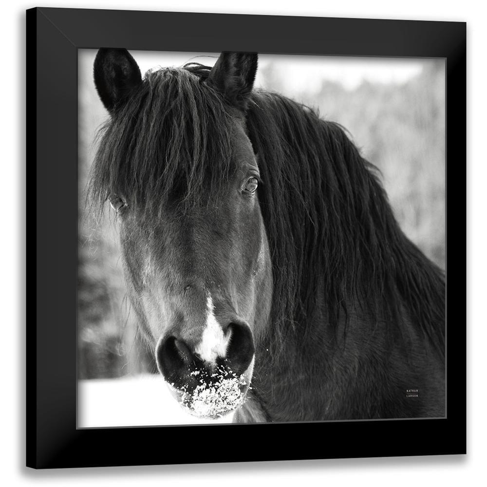 Larson, Nathan 20x20 Black Modern Framed Museum Art Print Titled - Winter Horse II