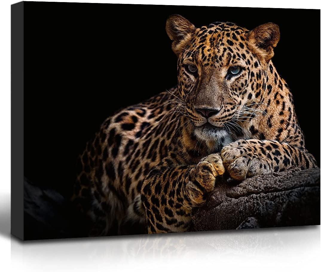 Leopard Canvas Prints Black Background Golden Wildlife Animal Leopard Wall Art Cheetah Pictures Artwork for Bathroom Bedroom Office Living Room Hallway Paintings Decorations Ready to Hang 12x16"