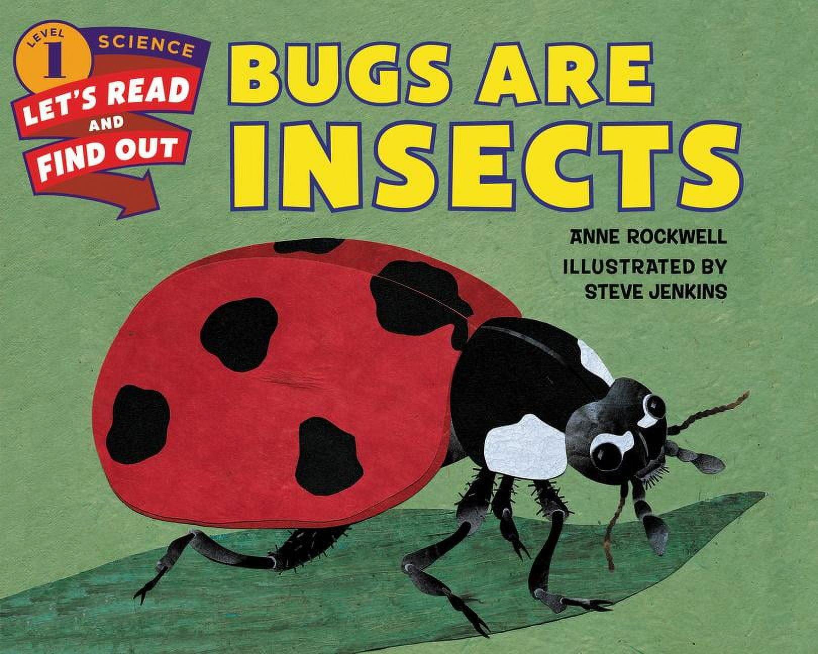 Bugs Are Insects Illustrated Paperback Science Book