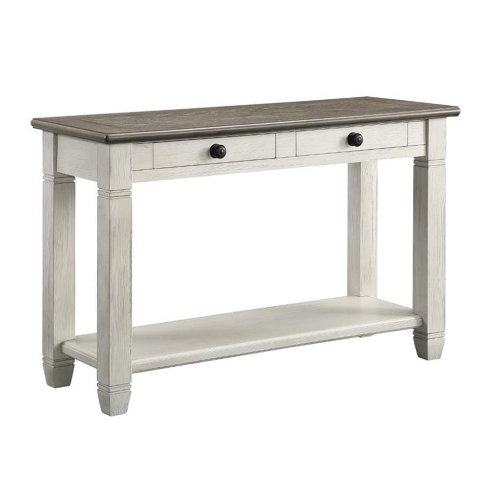 Lexicon Granby Wood 2 Drawer Console Table in Antique White