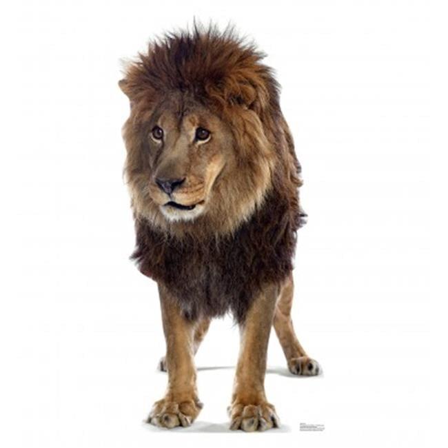 Advanced Graphics 52'' Animals Cardboard Standup