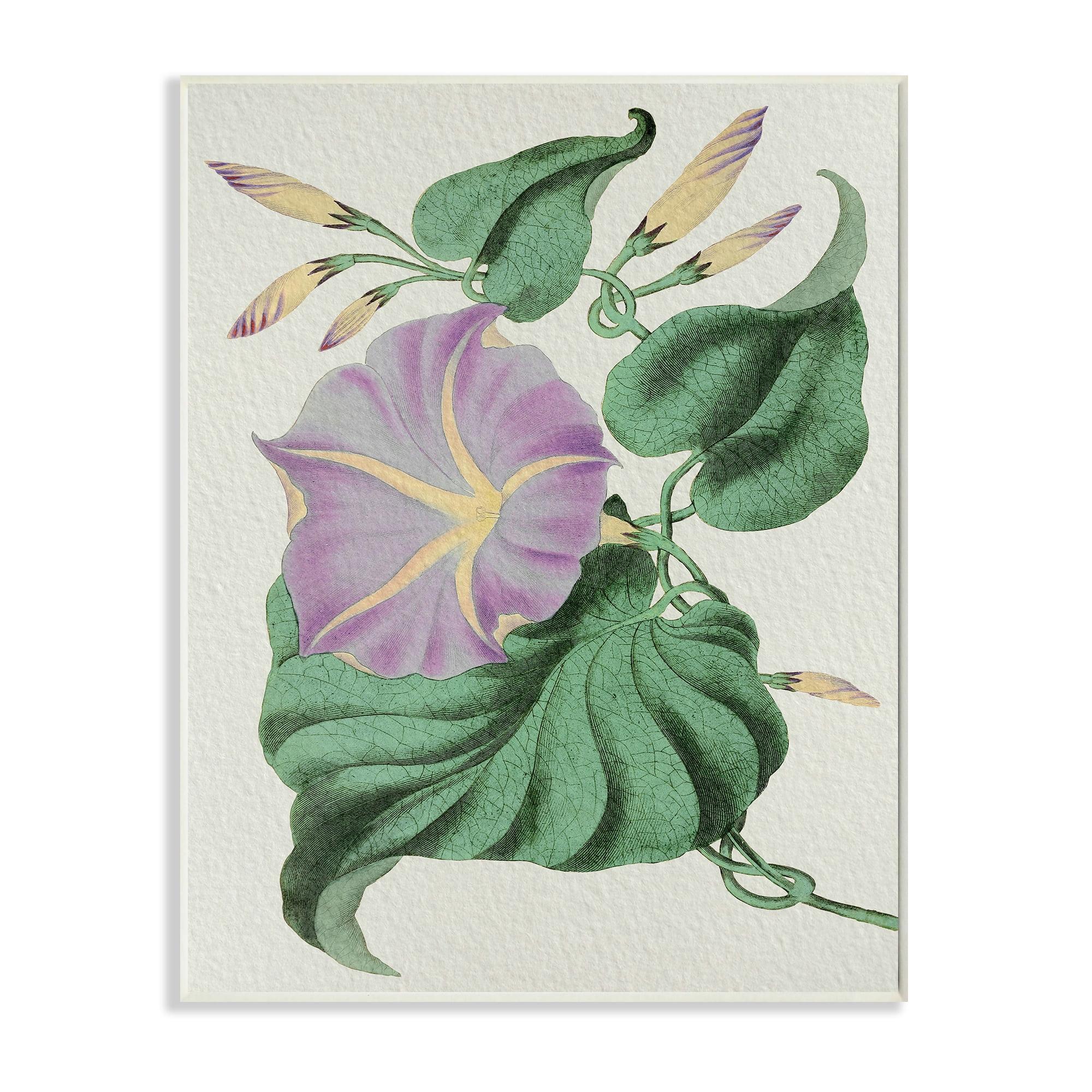 Vintage Purple Morning Glory Floral Wood Wall Art 10 x 15