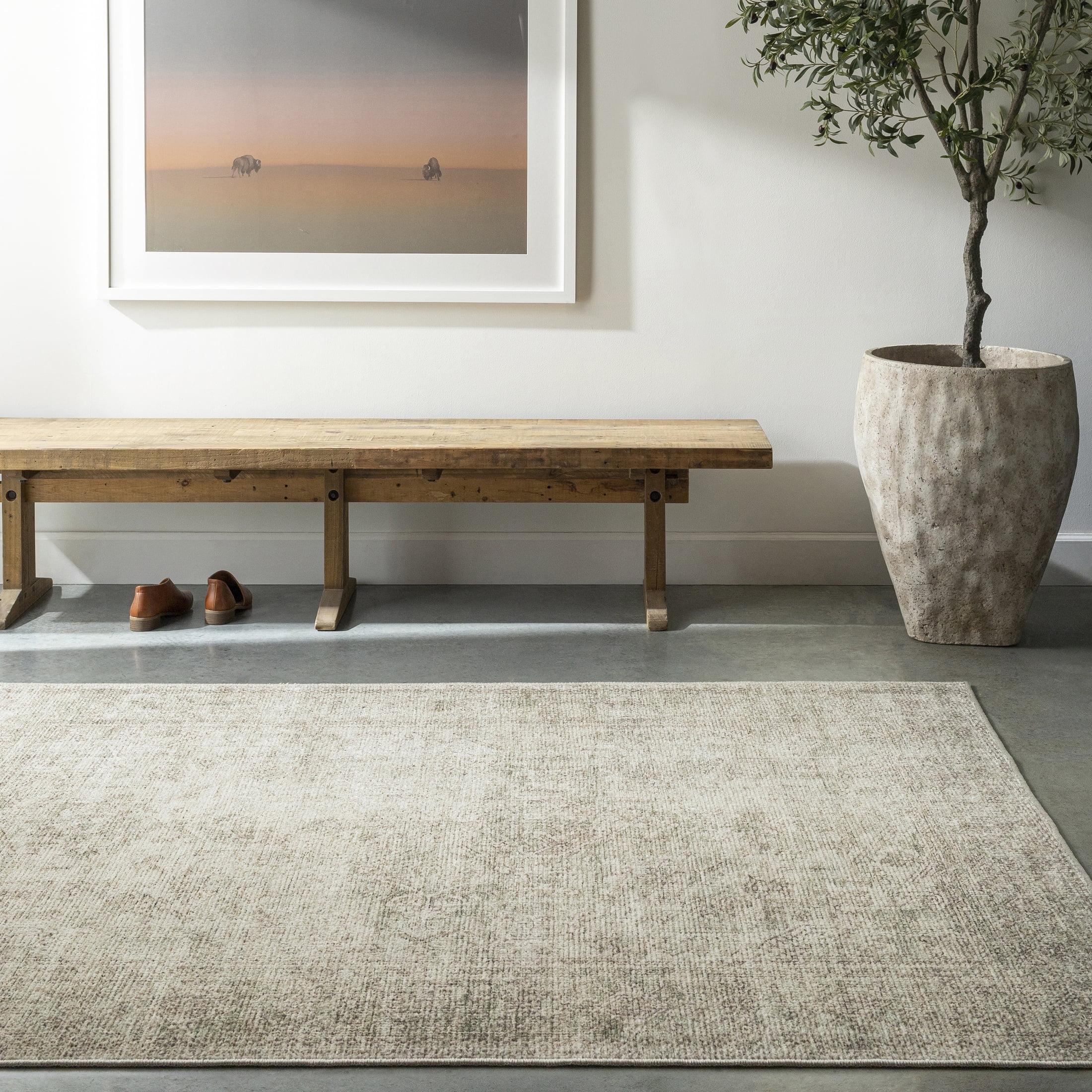 Becki Owens x Livabliss Margot Machine Woven Area Rug
