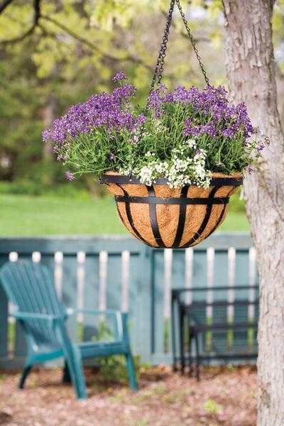 14-Inch Black Steel Round Hanging Basket with Natural Liner