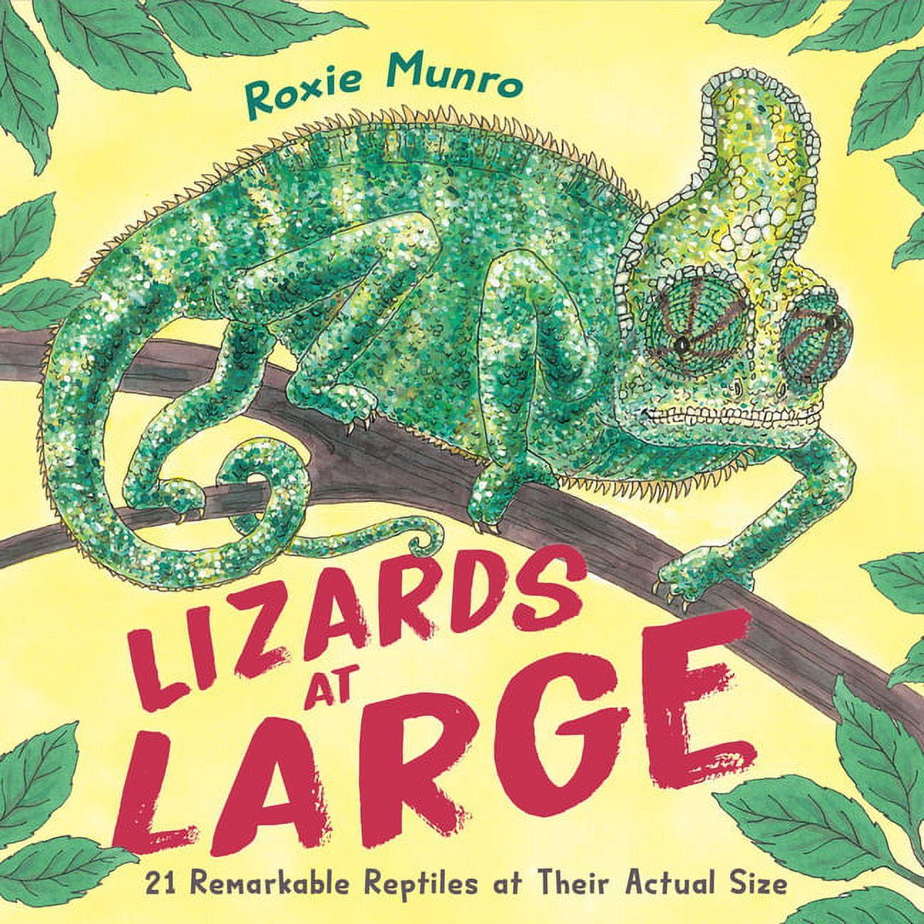 Lizards at Large Hardcover Non-fiction Kids' Book