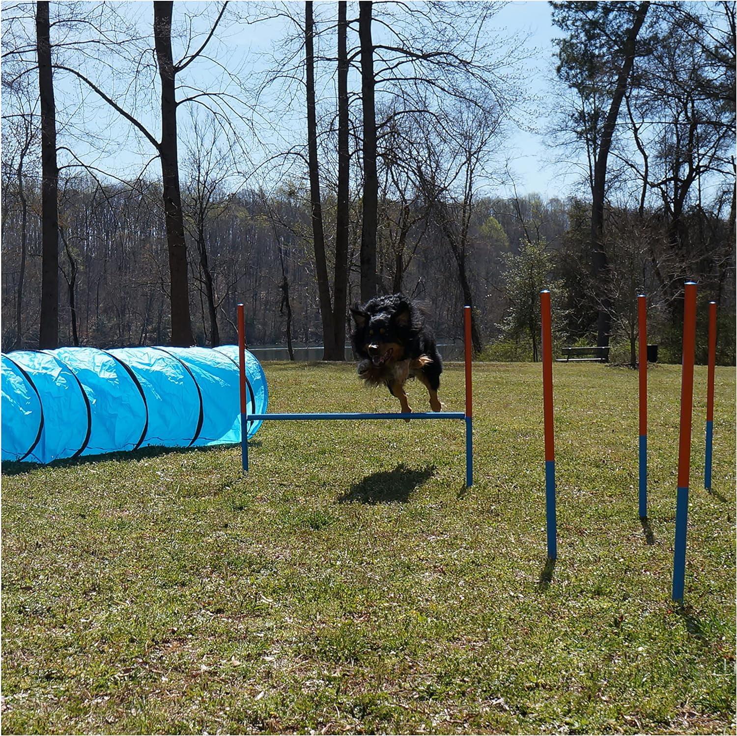 Adjustable Blue Dog Agility Training Set with Tunnel and Poles