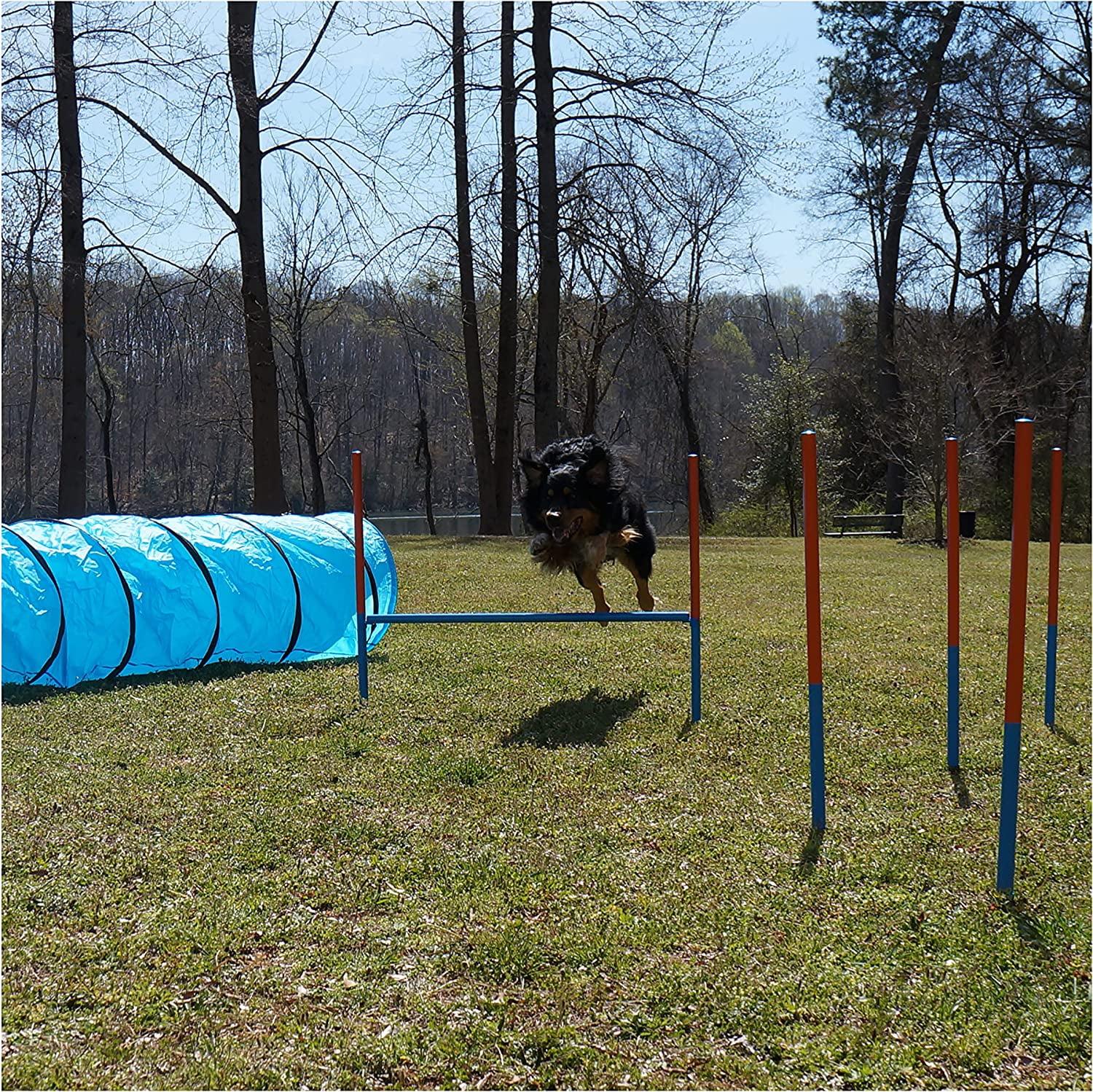 Adjustable Blue Dog Agility Training Set with Tunnel and Poles