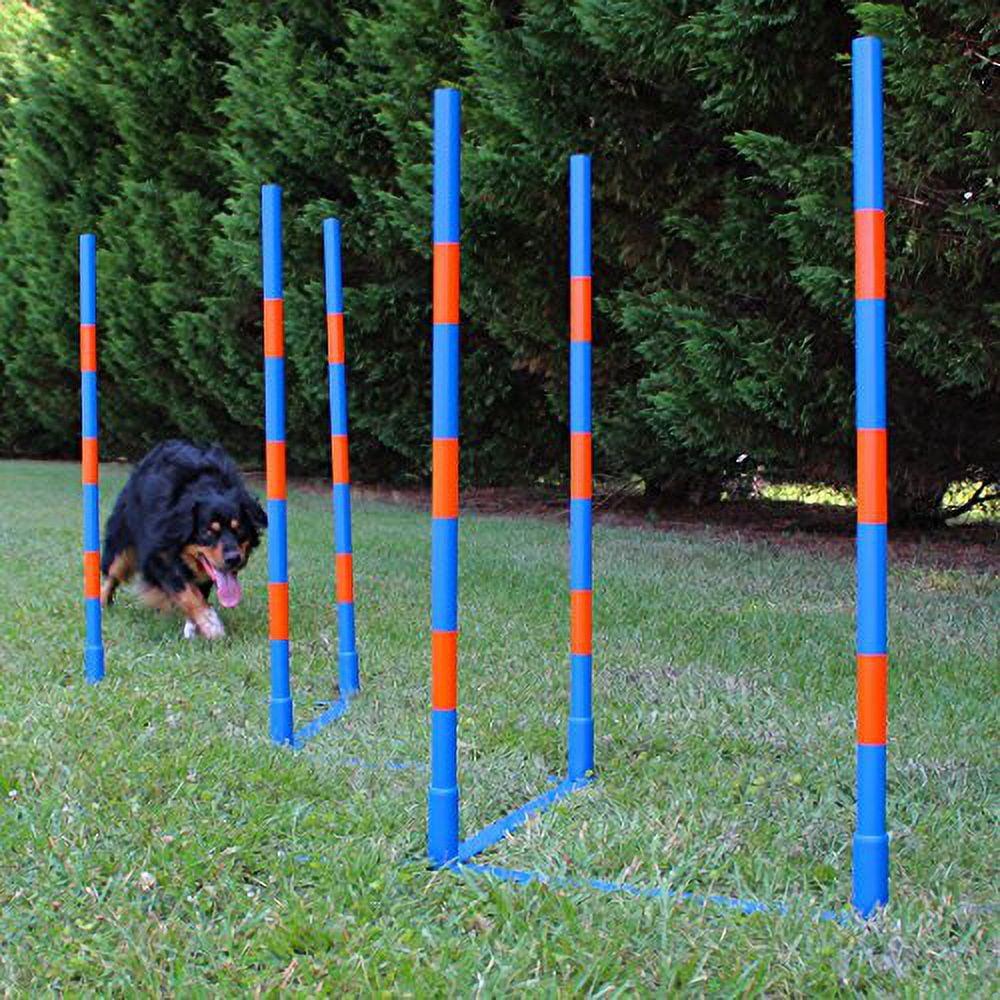 Adjustable Blue and Orange Dog Agility Weave Pole Set with Carrying Case