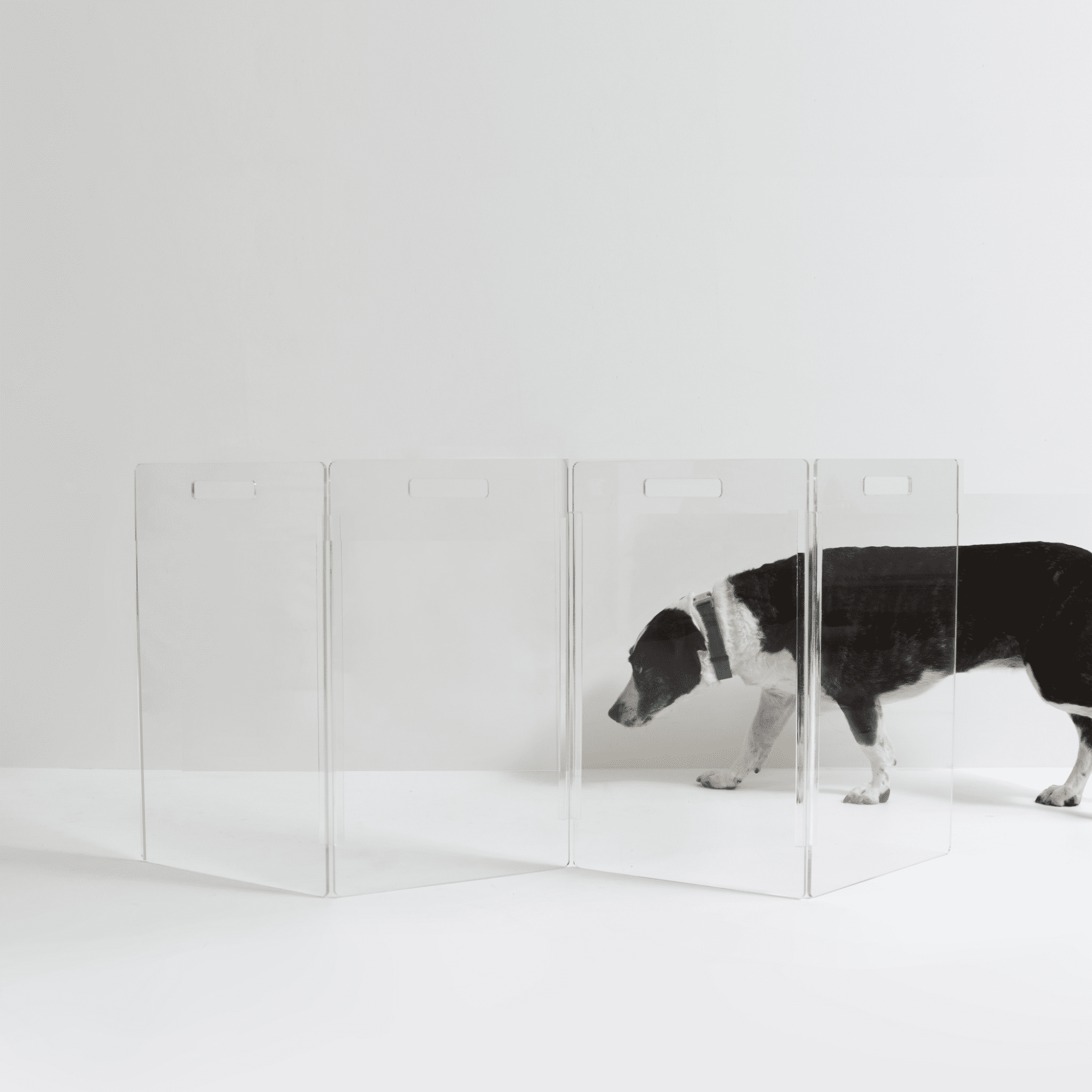 Hiddin Low Clear Freestanding Zig Zag Pet Gate