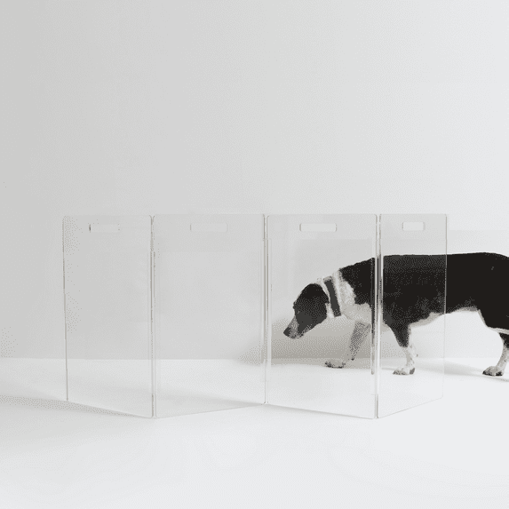 Hiddin Low Clear Freestanding Zig Zag Pet Gate