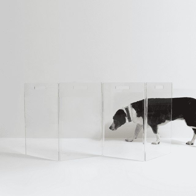 Hiddin Low Clear Freestanding Zig Zag Pet Gate