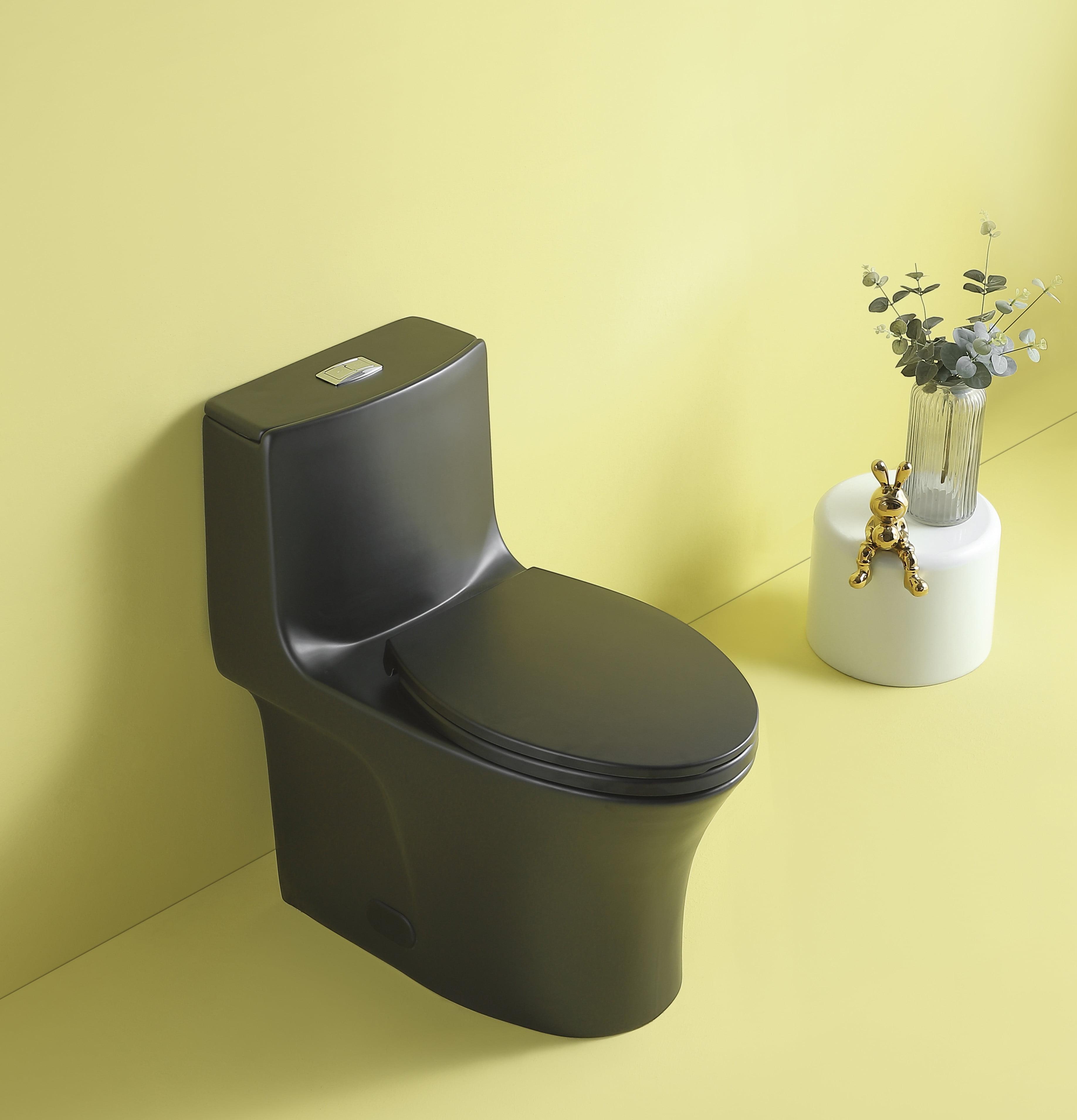 Matte Black Ceramic Elongated One-Piece Dual Flush Toilet