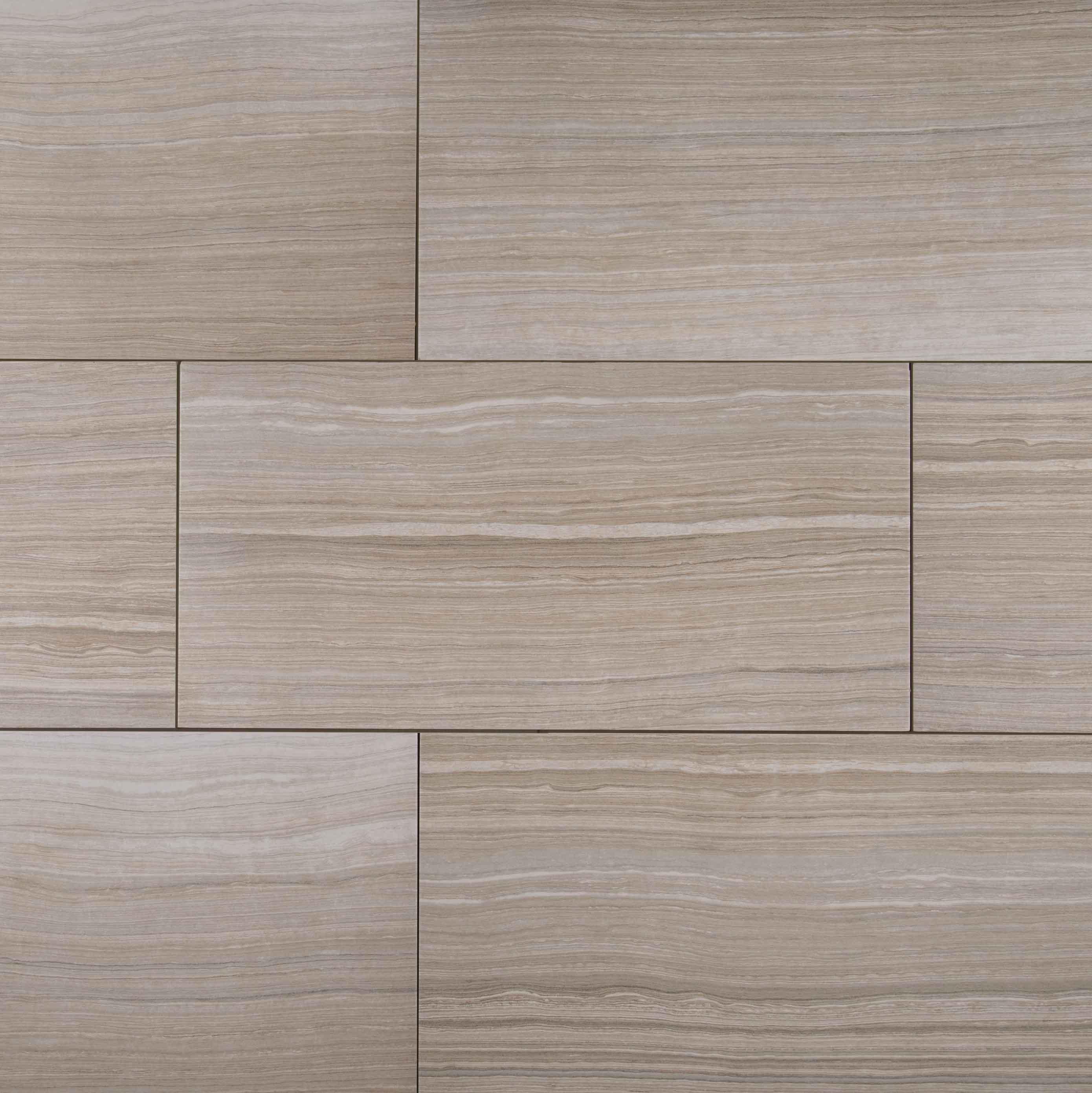 Eramosa Silver 12'' x 24'' Matte Porcelain Tile