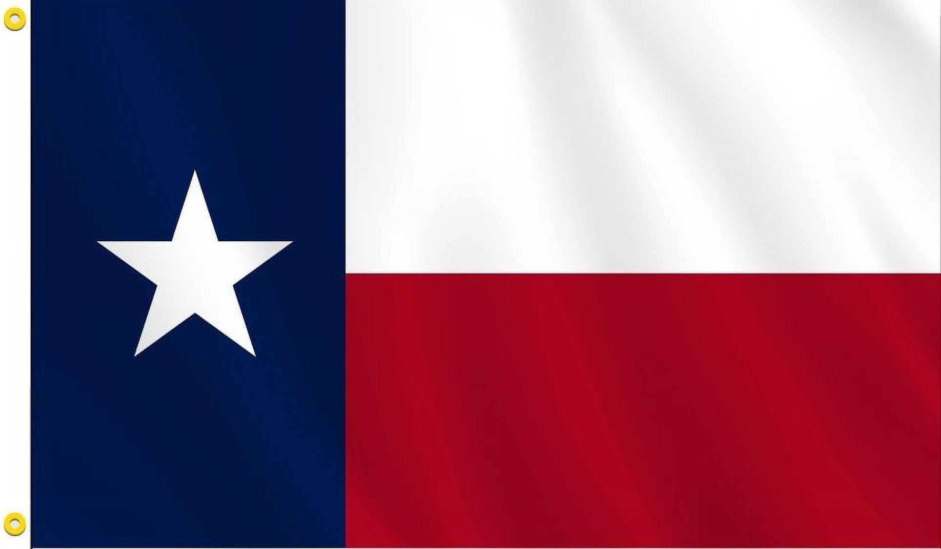 Aihccy Texas Flag with Brass Grommets Size - 3x5Ft