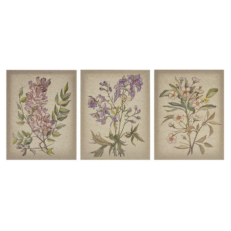 Set of 3 Linen Botanicals Printed Canvas Wall Art