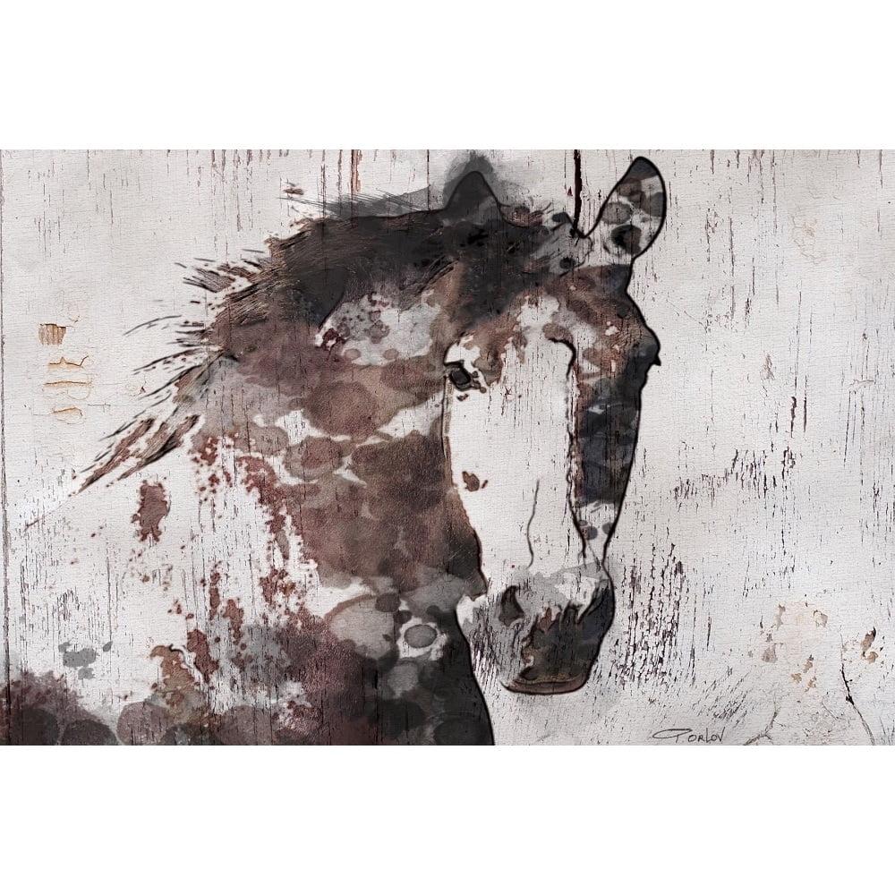 Gorgeous Horse Multicolor Canvas Wall Art 24" x 16"