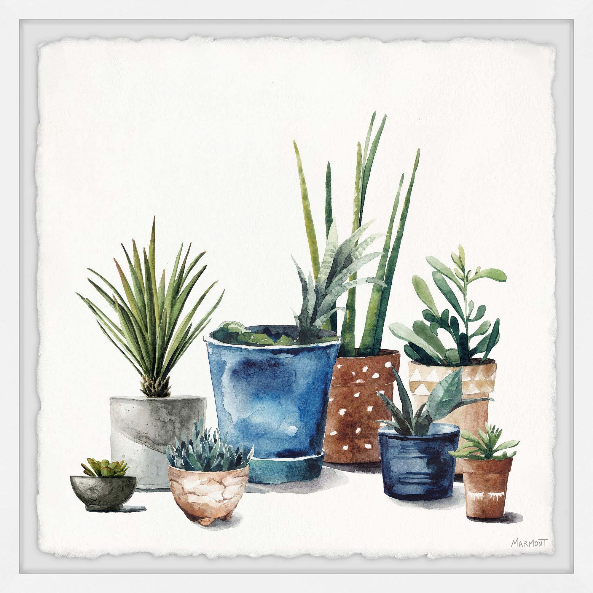 Eclectic Succulents in Pots Framed Wall Art Print