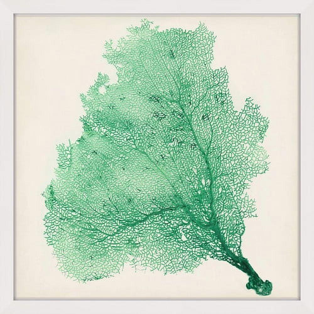 Marmont Hill "Sea Fan VII" Framed Print