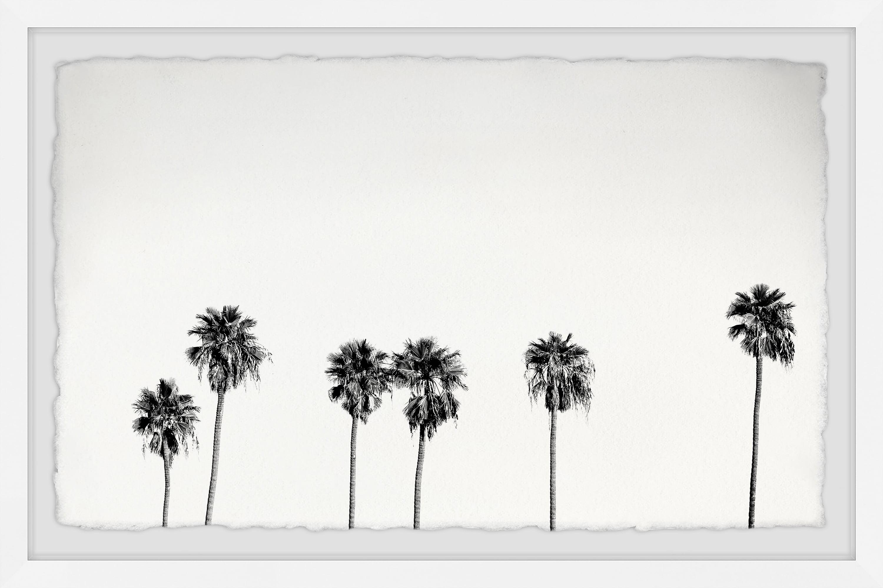 Marmont Hill Set of Palm Trees Framed Wall Art, 30" x 45"