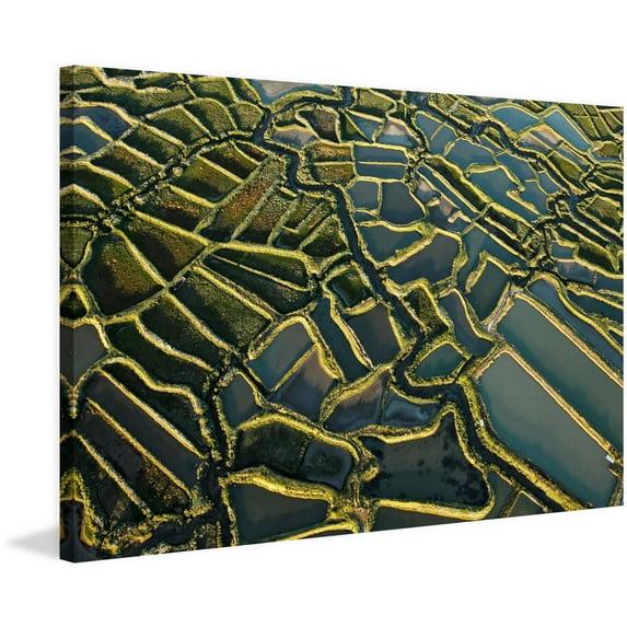 Marmont Hill " Waterways " by Karolis Janulis