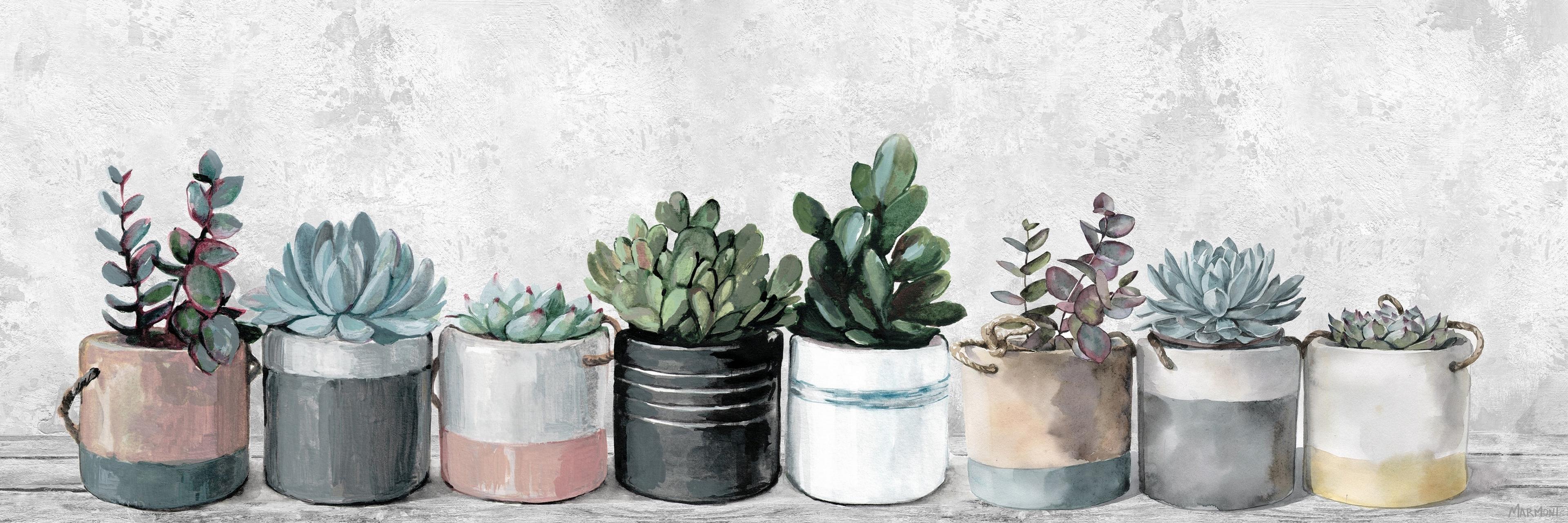 Wild Succulents in Colorful Pots Canvas Wall Art