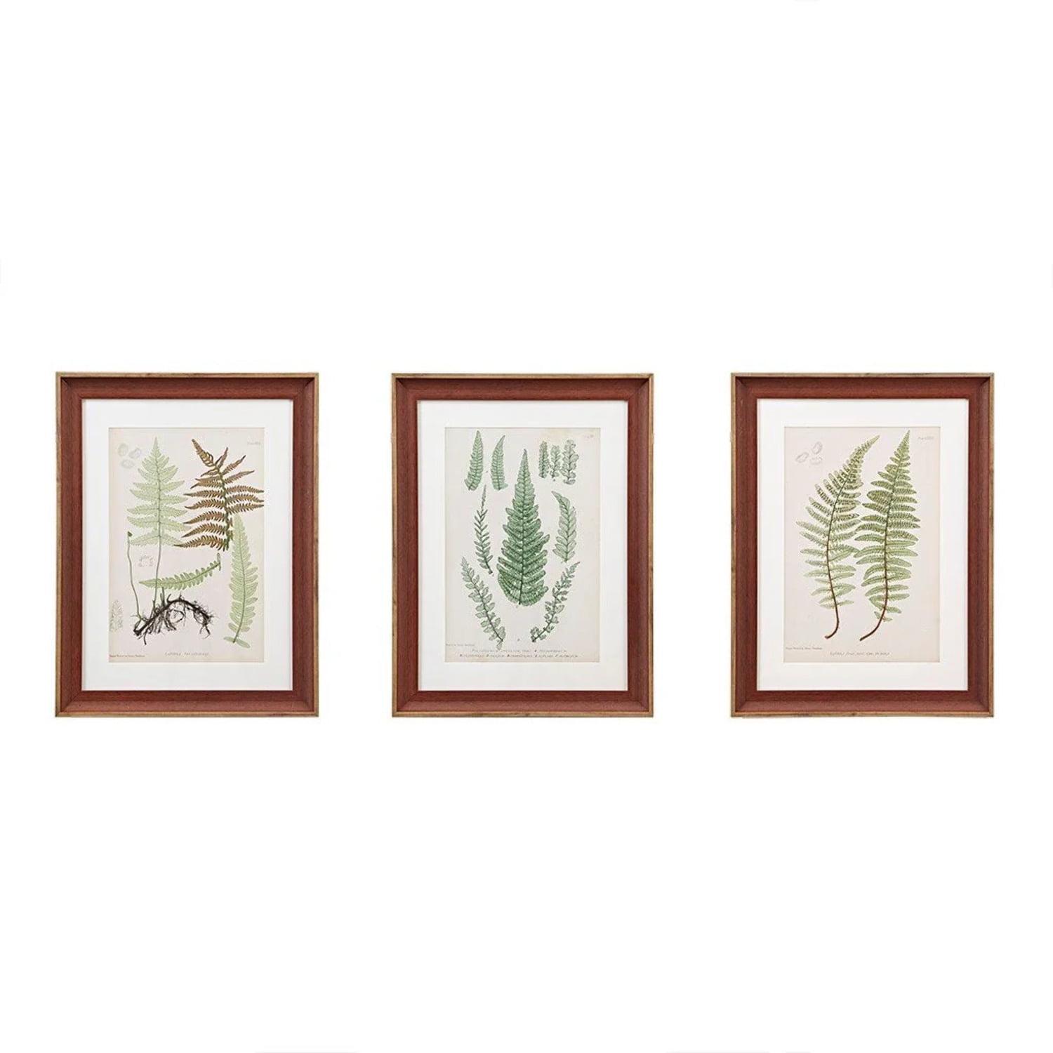 Lady Fern Collection Green Framed Botanical Wall Art Set