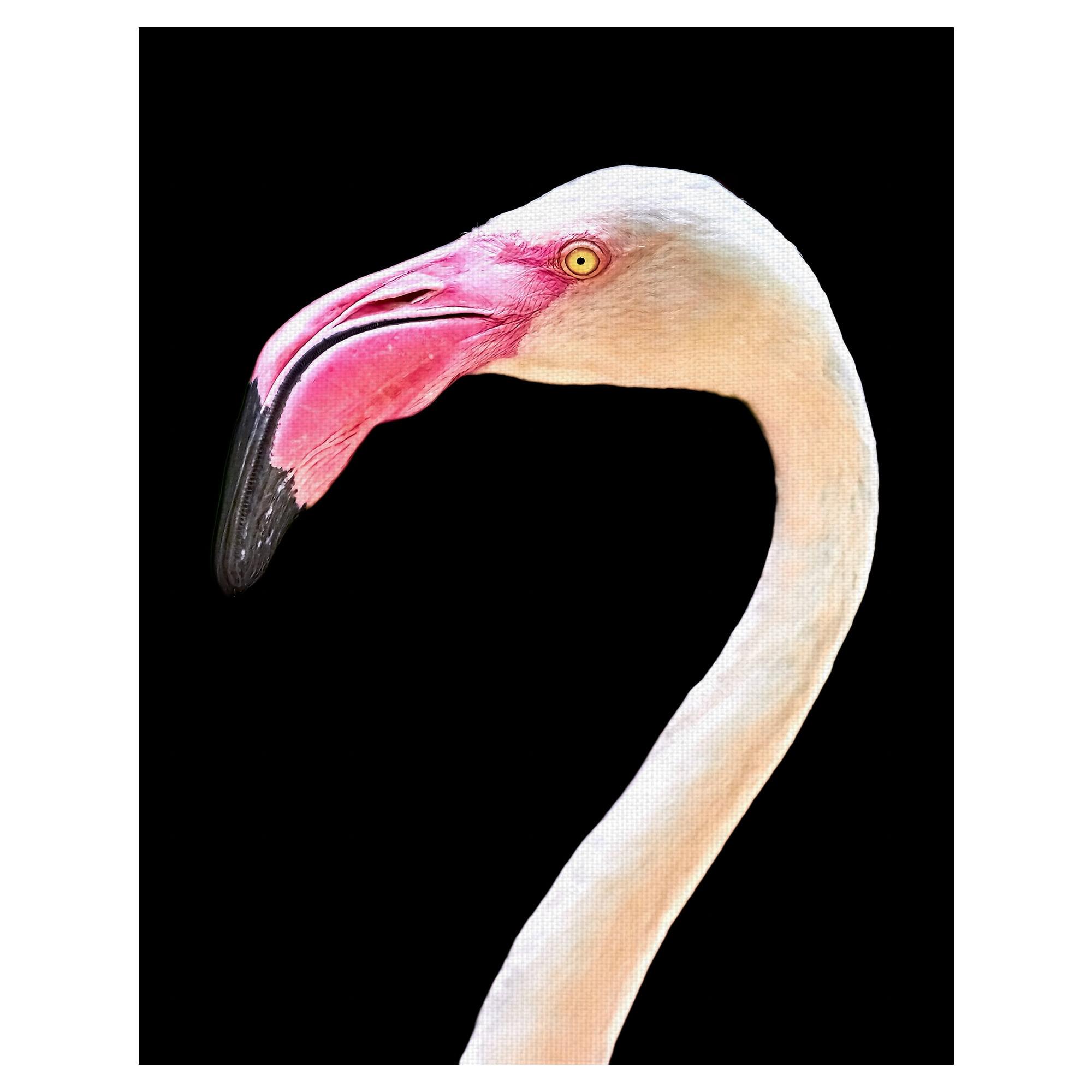 Fiery Flamingo Portrait Canvas Art Print 22" x 28"