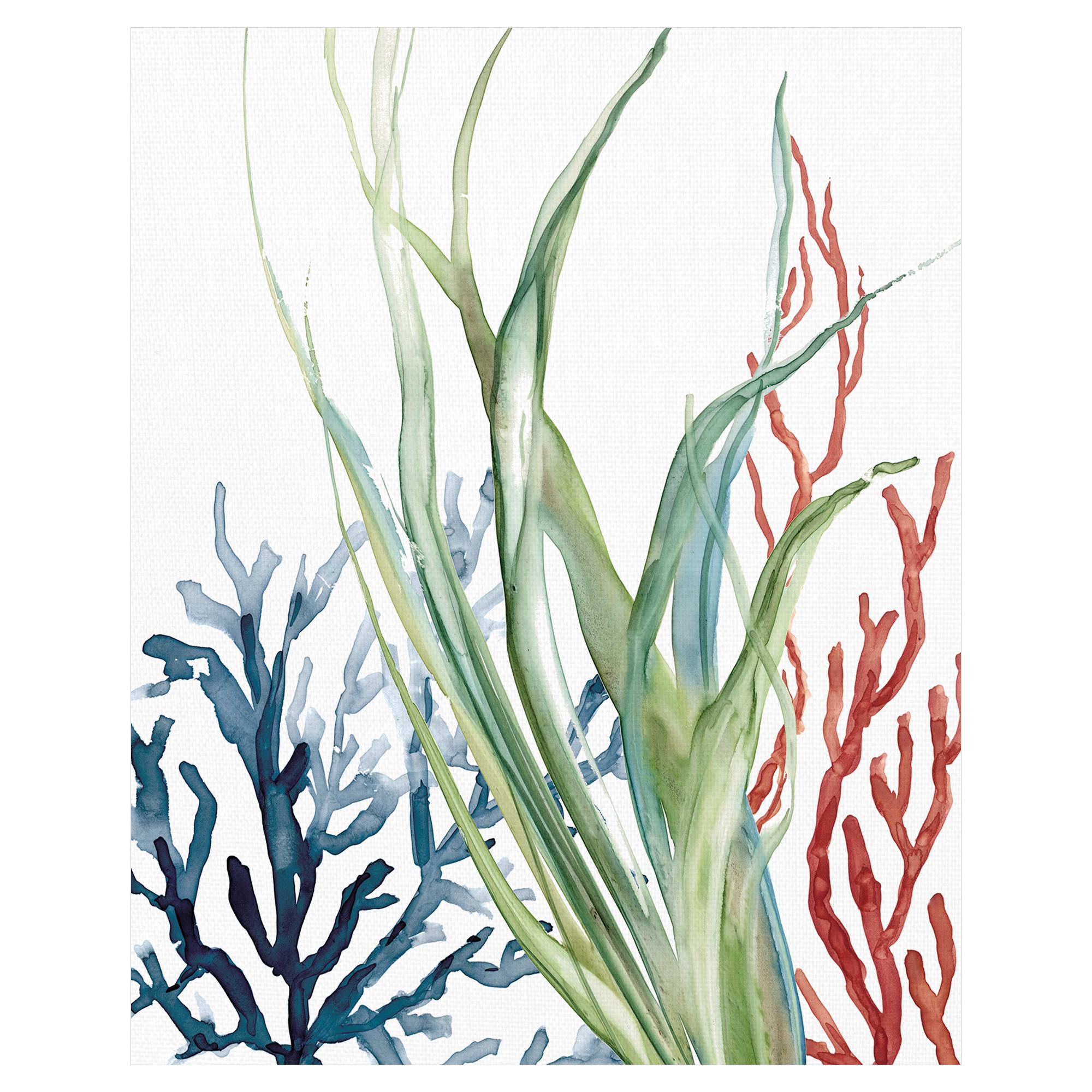 Masterpiece Art Gallery Ocean Magic II Marine Botanical by Carol Robinson Canvas Art Print