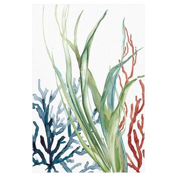 Masterpiece Art Gallery Ocean Magic II Marine Botanical by Carol Robinson Canvas Art Print